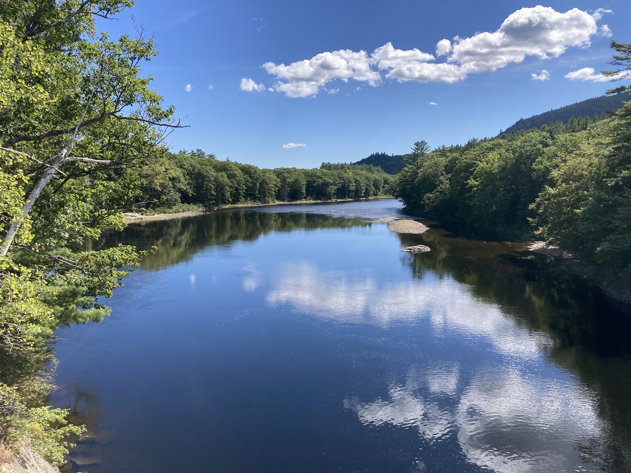 Wide river reflecting blue sky and clouds, flanked by green forests. - Pinkham Notch and Evan's Notch loop
