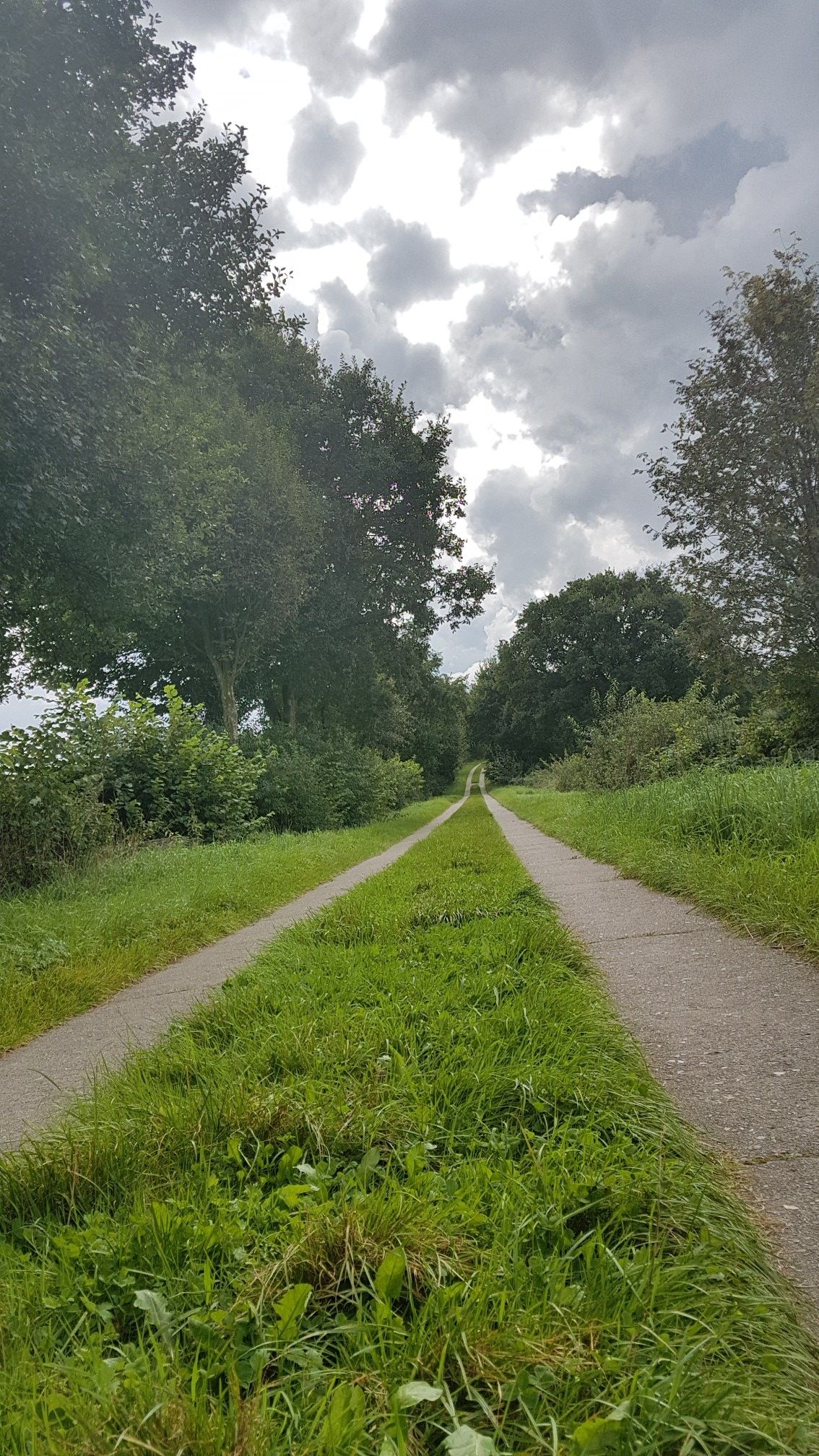 bergauf nach Tellingstedt