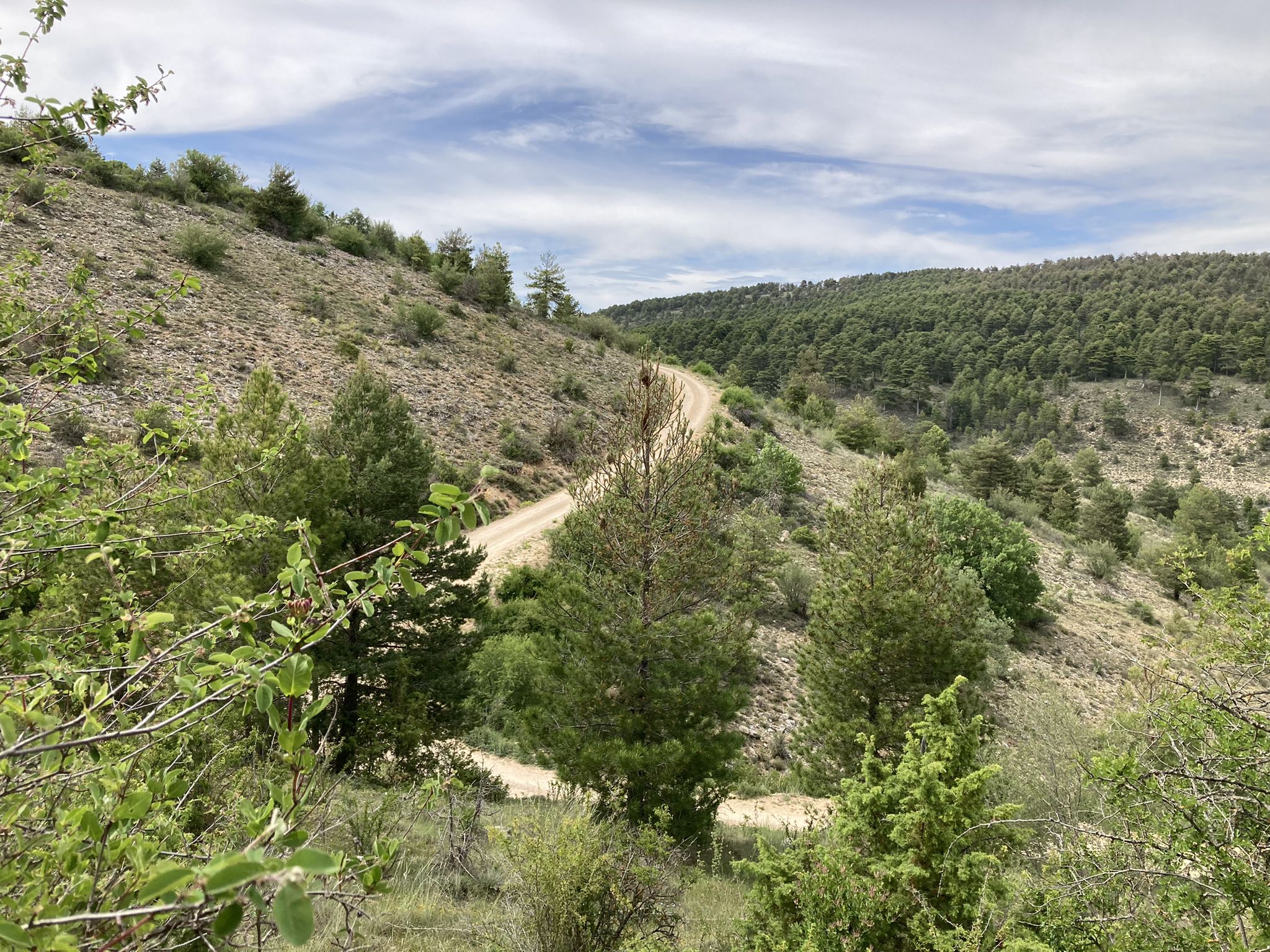 Camino Ojos del Cabriel