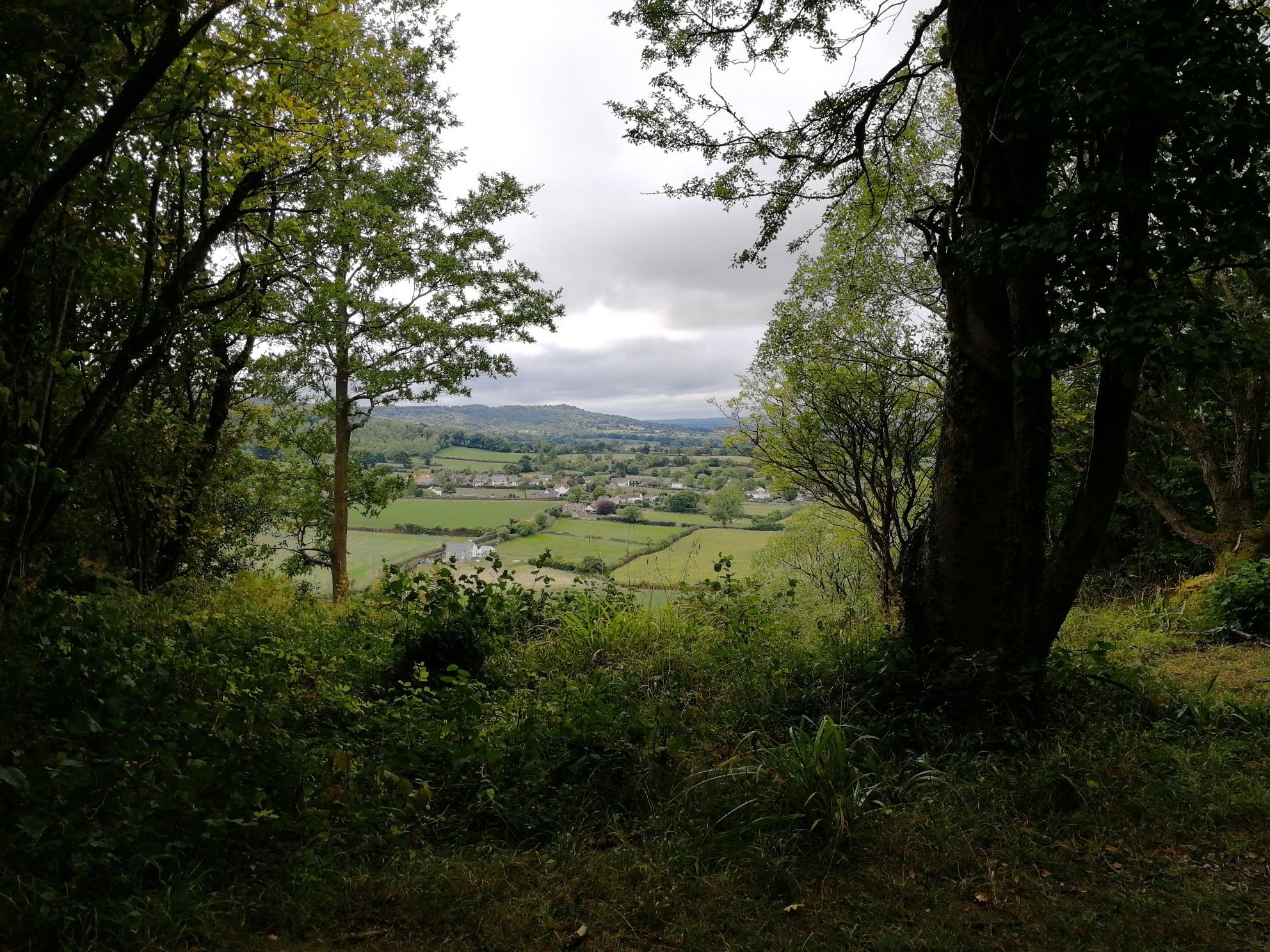 a bench rest and enjoy the view