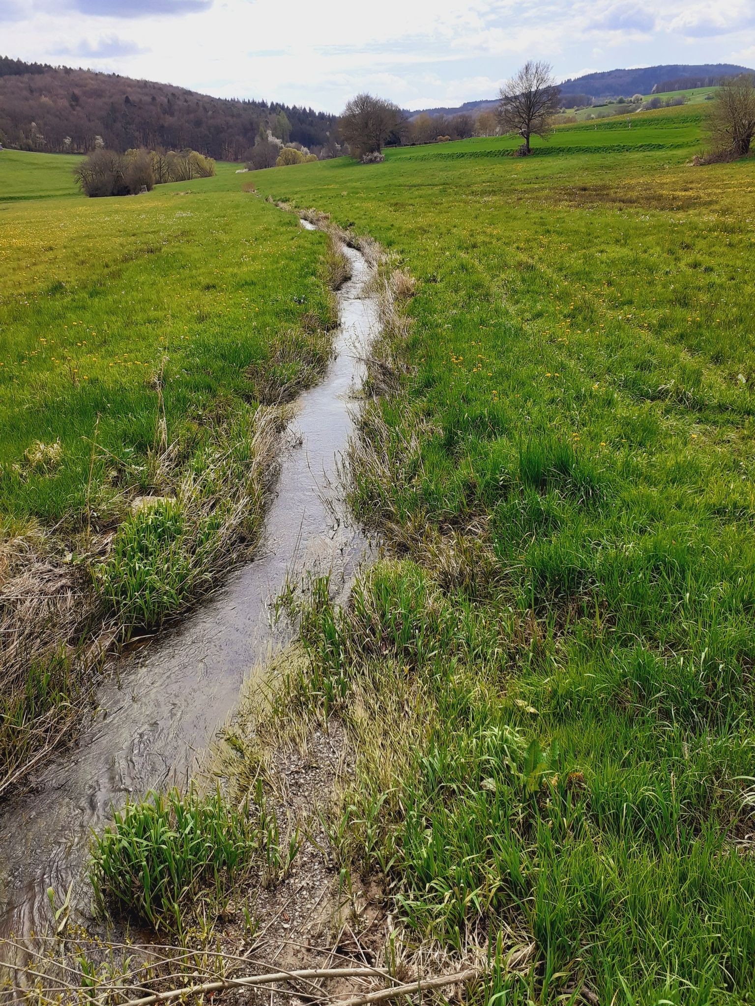 am Fischbach