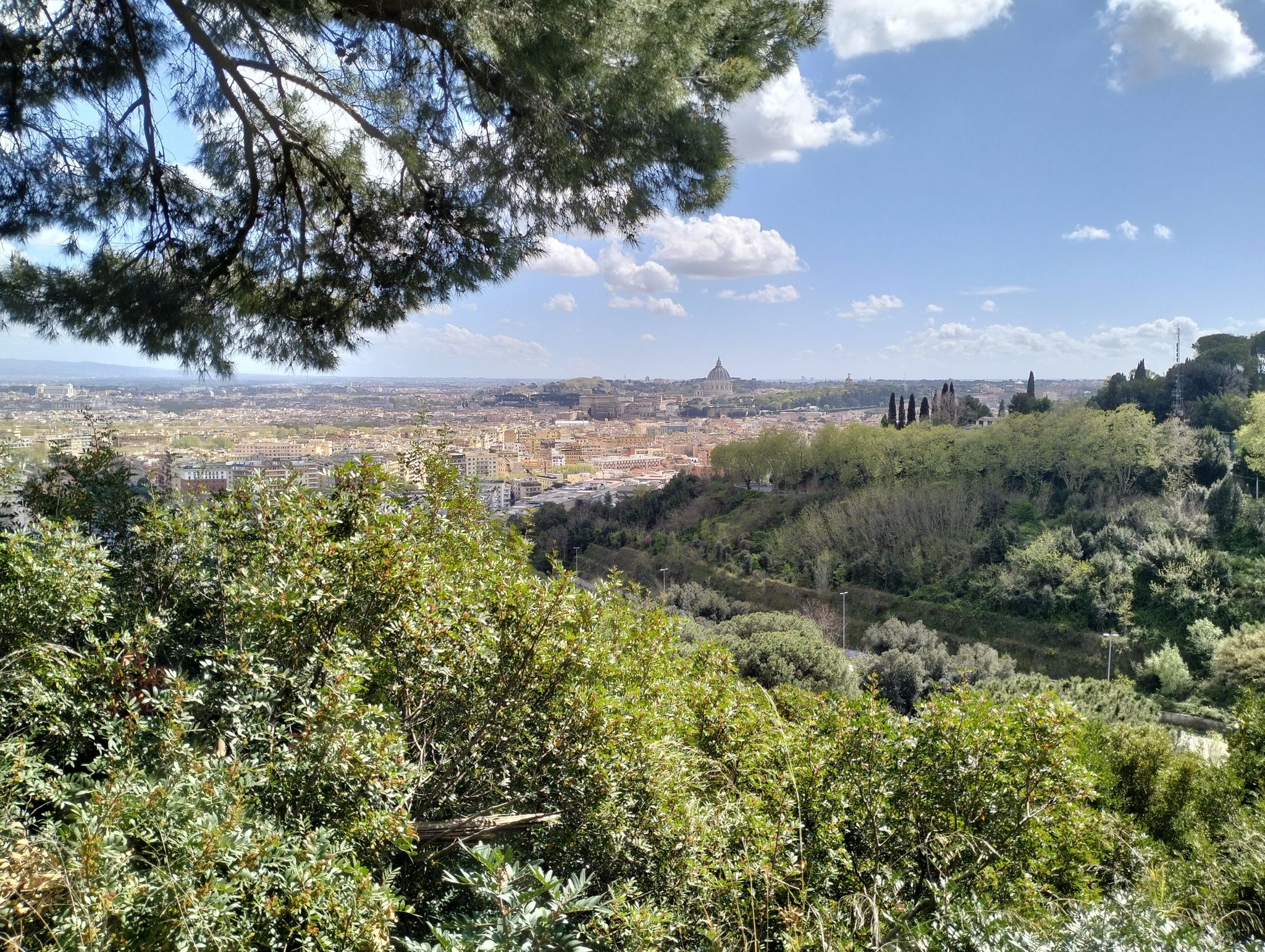 San Pietro, da Monte Mario