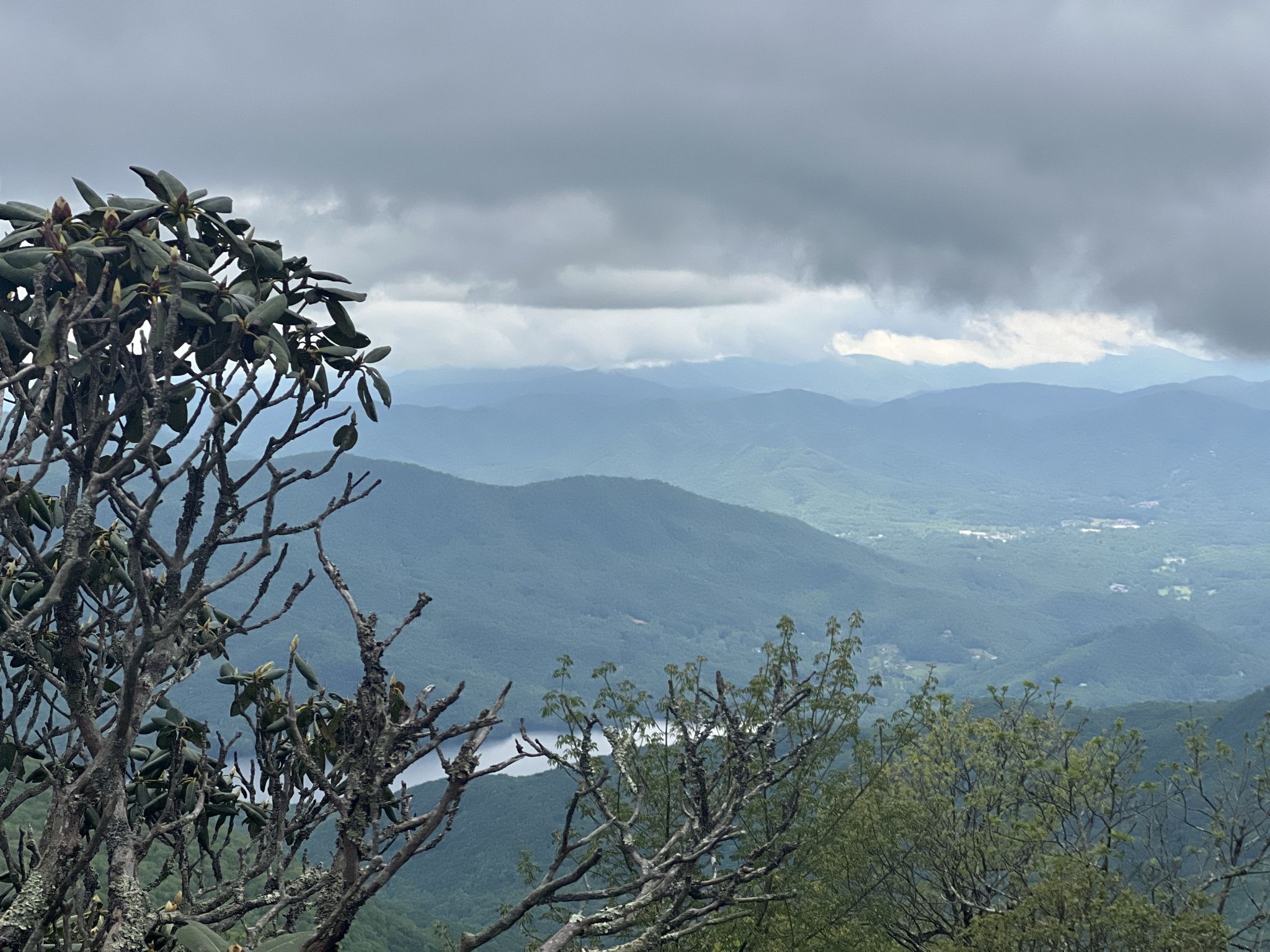 Bare tree branches frame a hazy mountain landscape with a distant lake. - Mountains to Sea Bicycle Route
