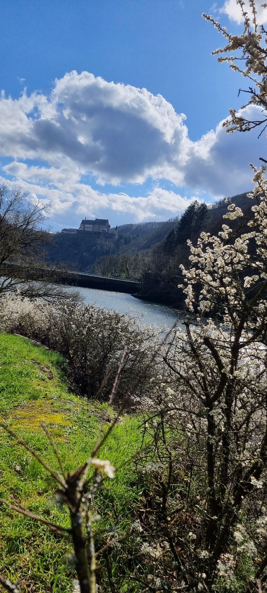 Blick zur Burg Vianden