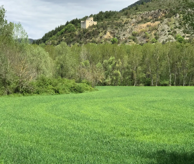 San Terenziano