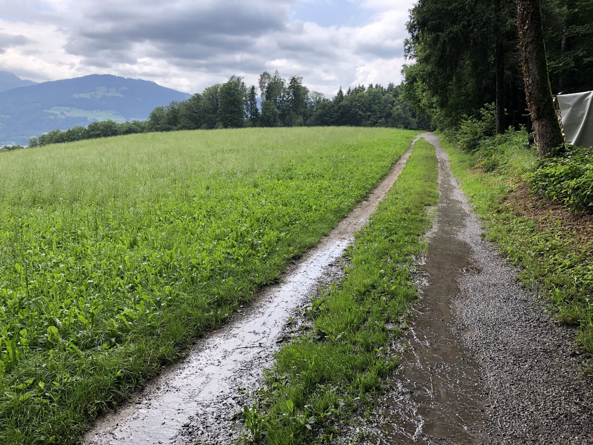 "Legi-Trail"
