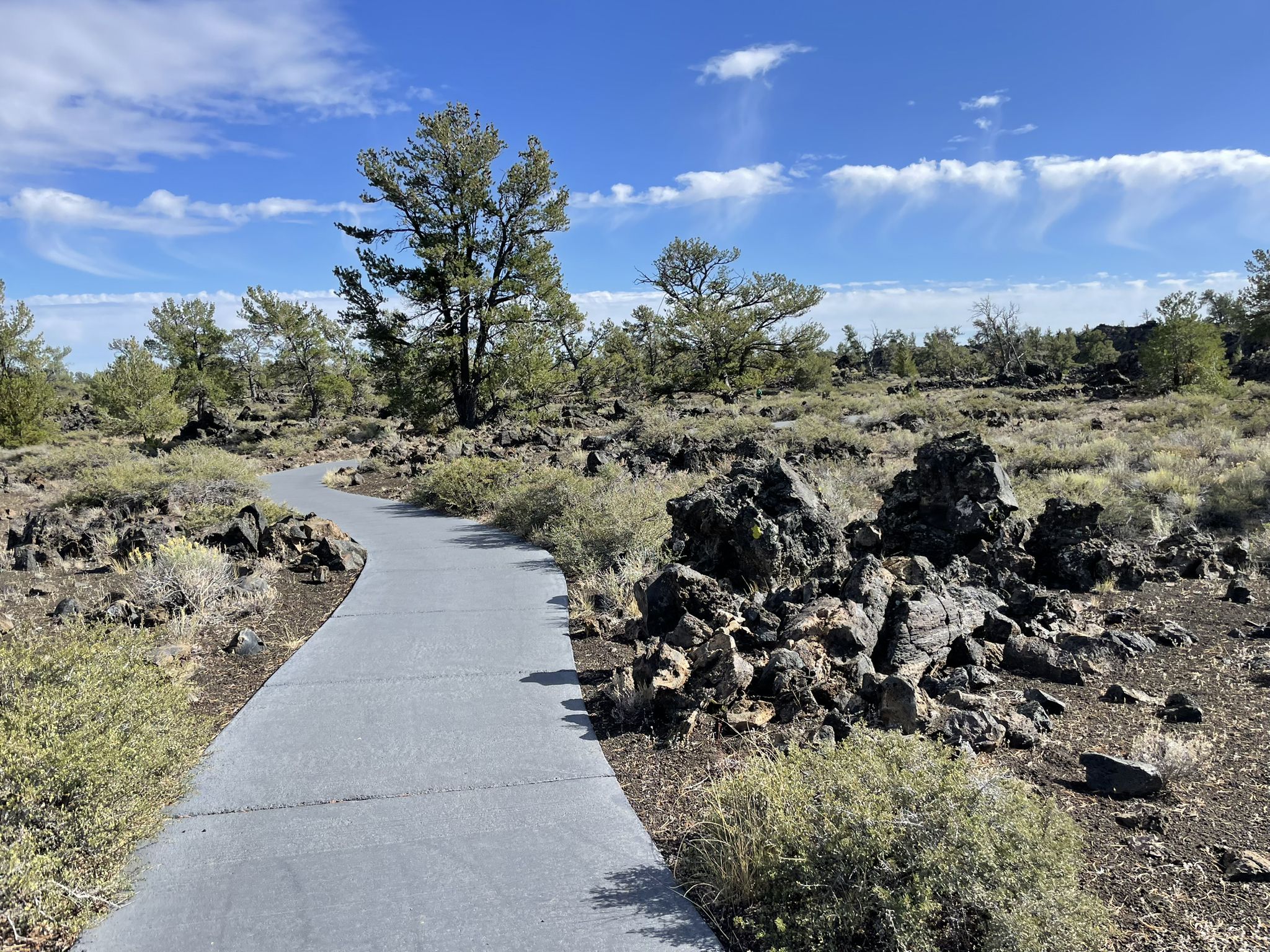 Paved path winds through a rocky, shrub-filled landscape under a bright sky. - Devils Orchard Nature Trail