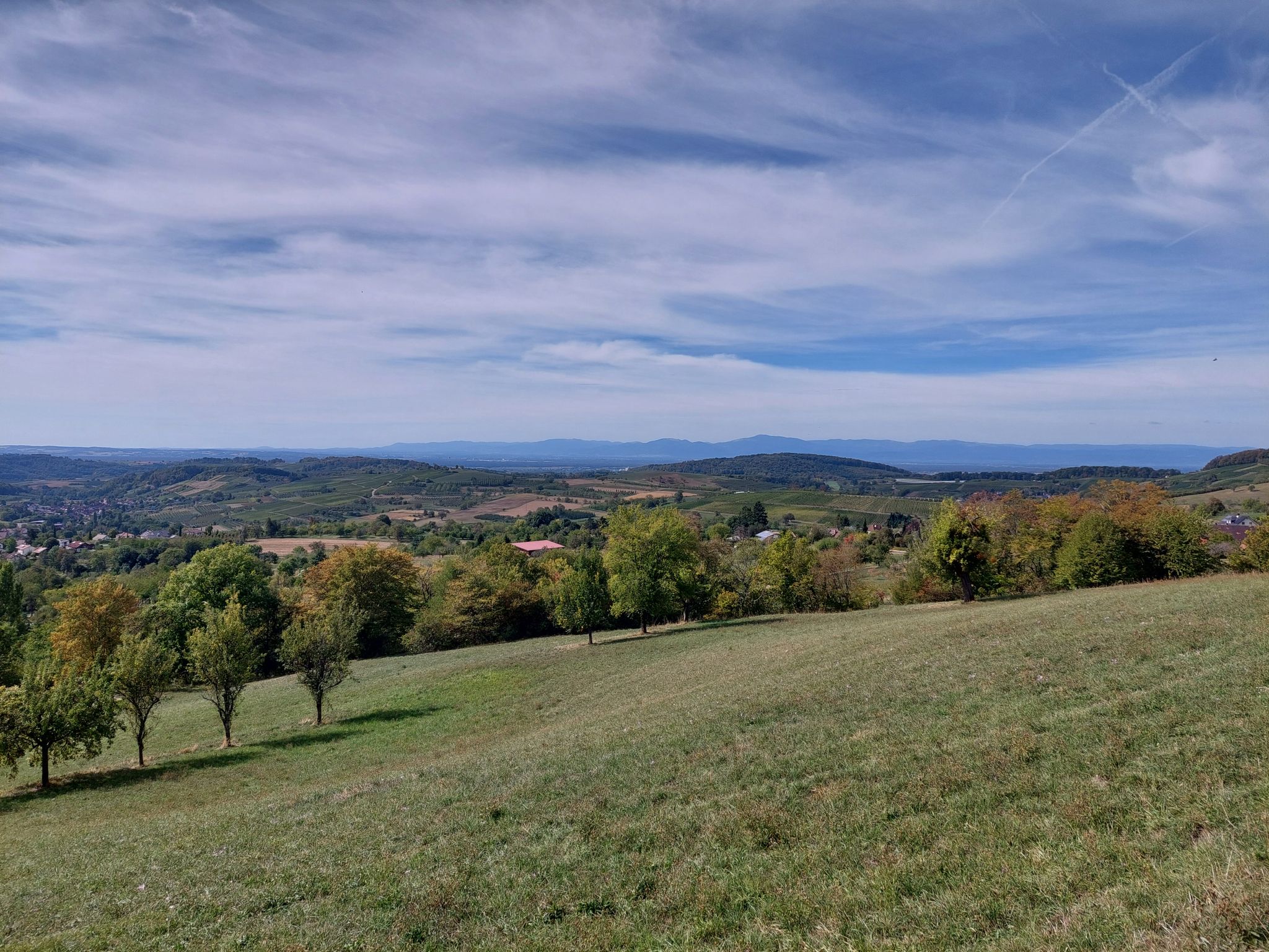 L132 Richtung Kandern: Blick weiter nach rechts ins Eggener Tal auf den Ort Schallsingen, Vogesen im Hintergrund