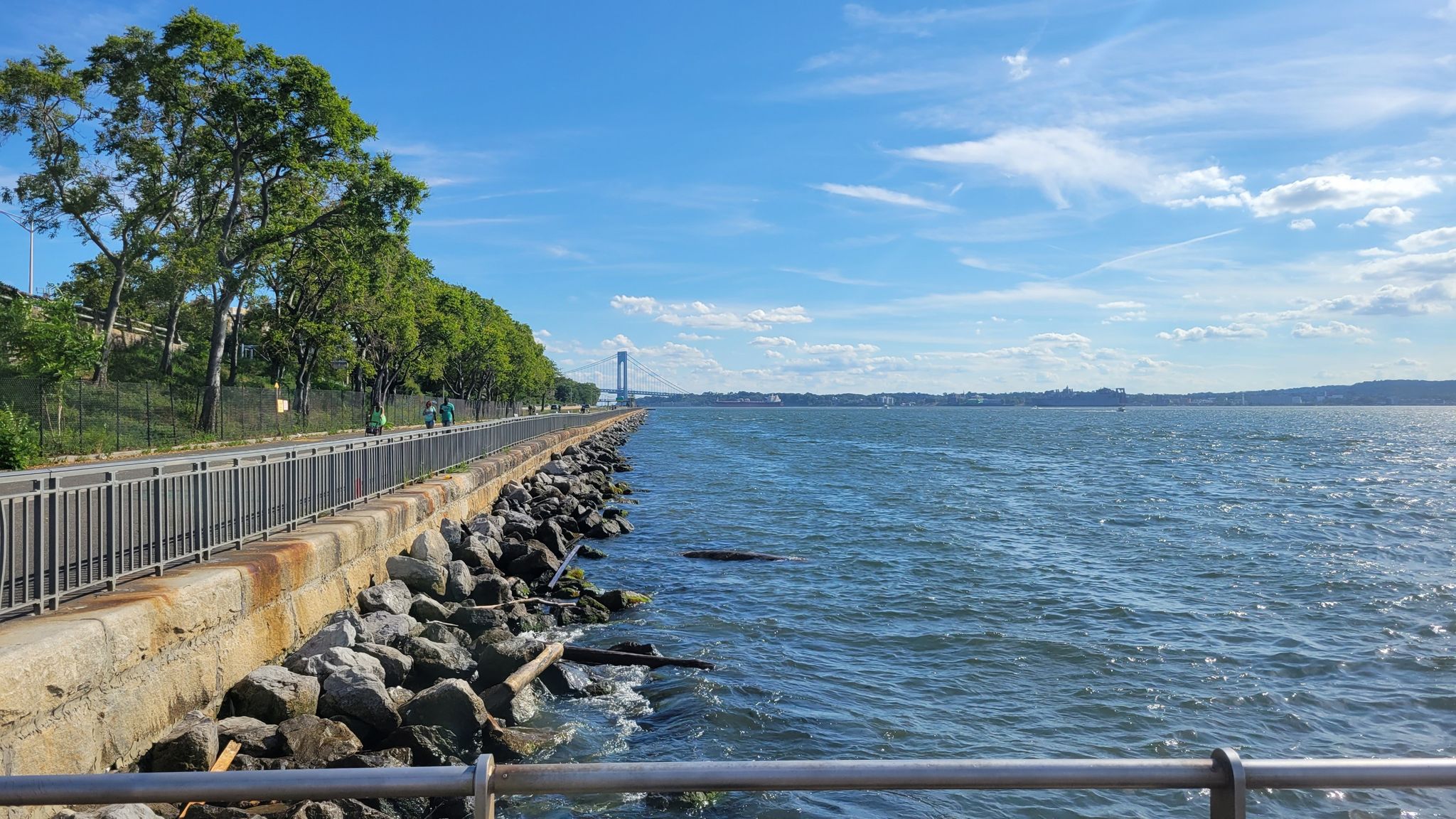 Waterfront path with trees, rocky shore, and a distant bridge on a sunny day. - Shore Road Greenway