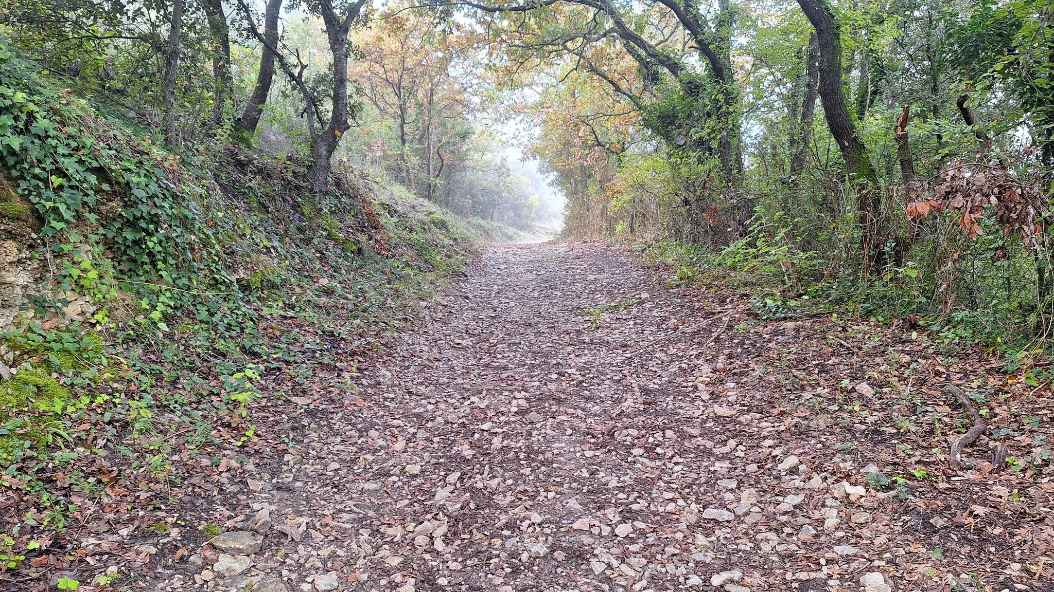 Chemin de l'Espérance.