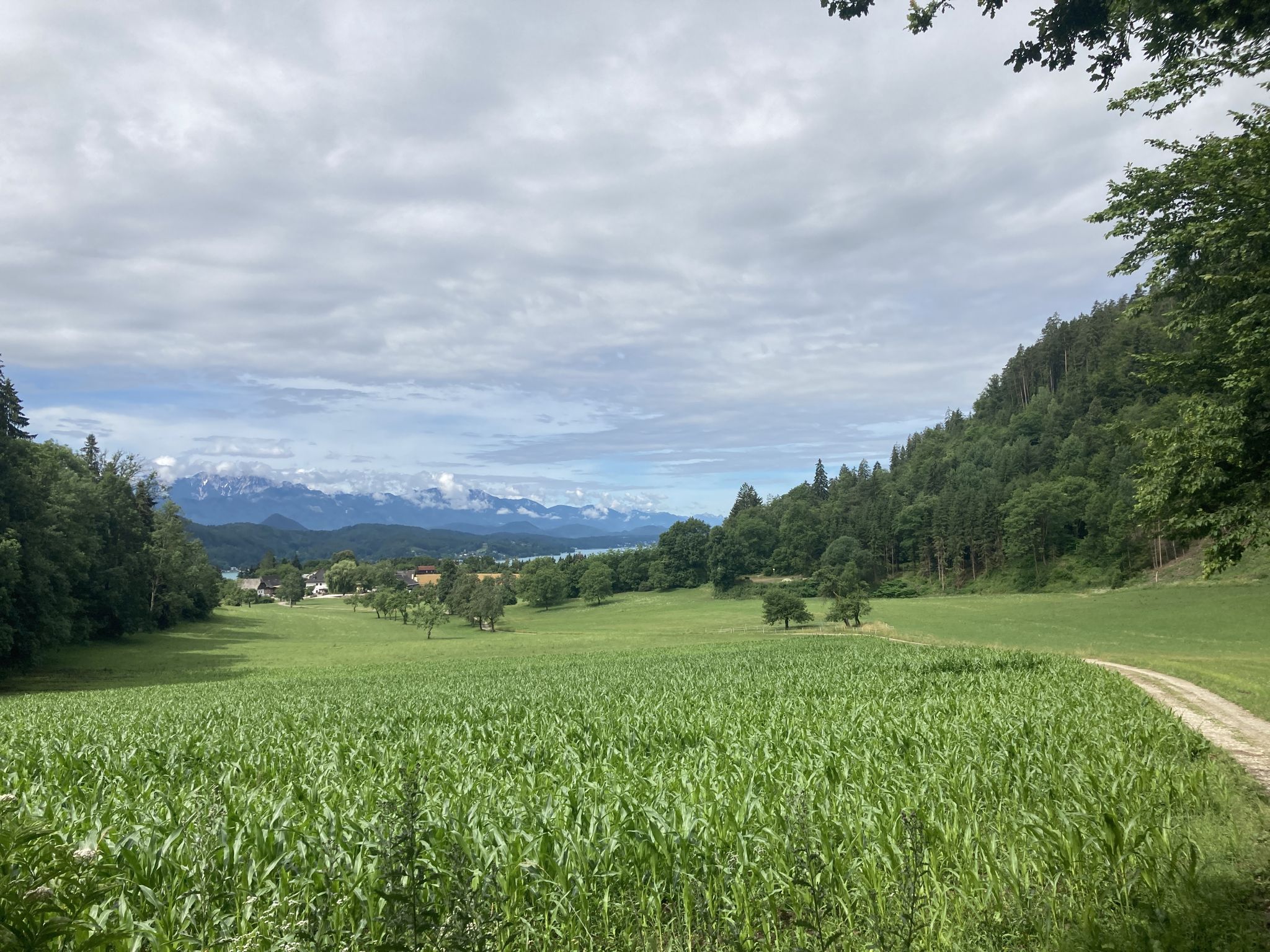 Wörthersee und Karawanken