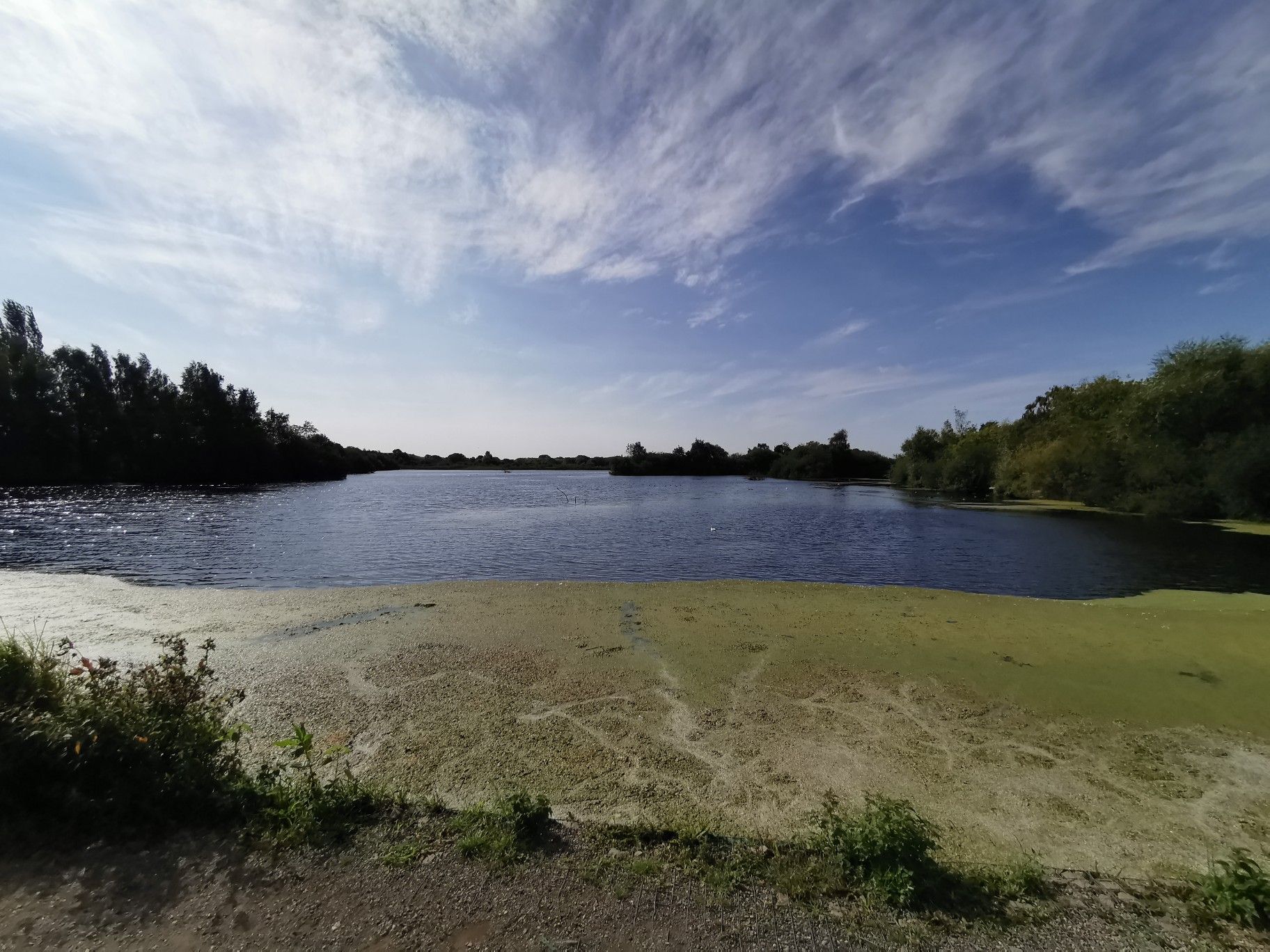 Attenborough Nature Reserve 