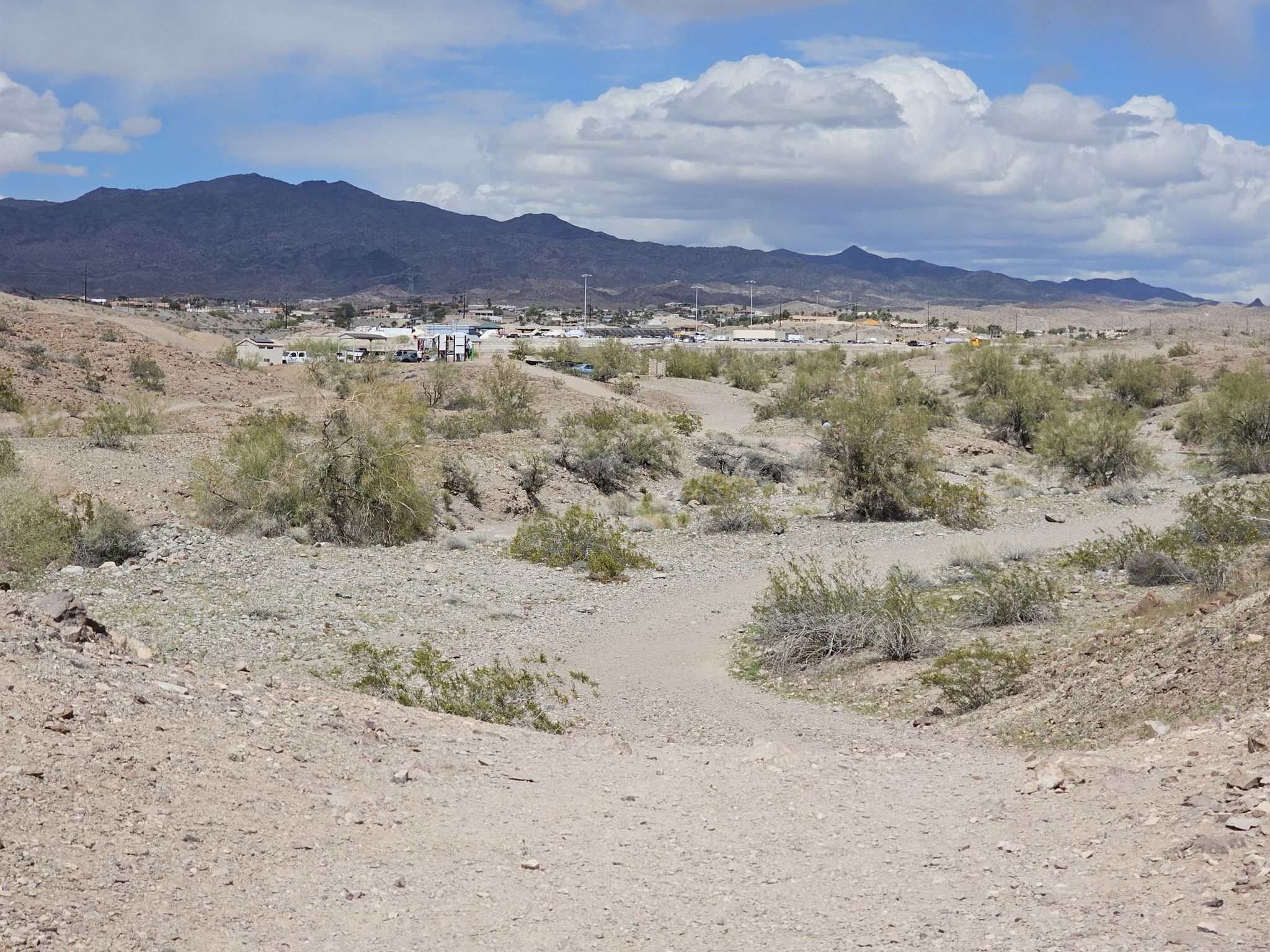 A desert path winds through sparse bushes towards a distant town and mountains. - Pilot Rock Trail