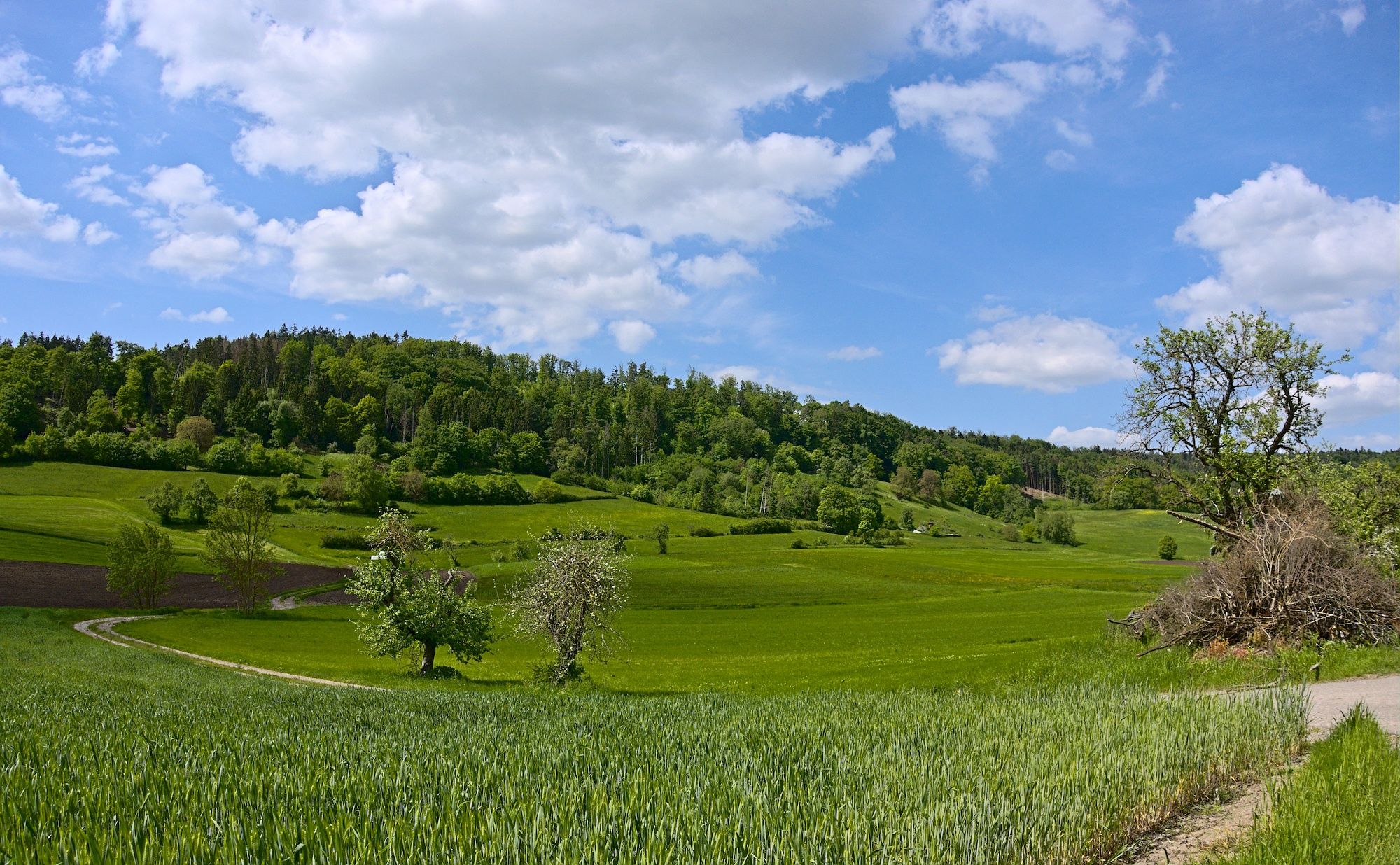... auf einer malerischen Strecke