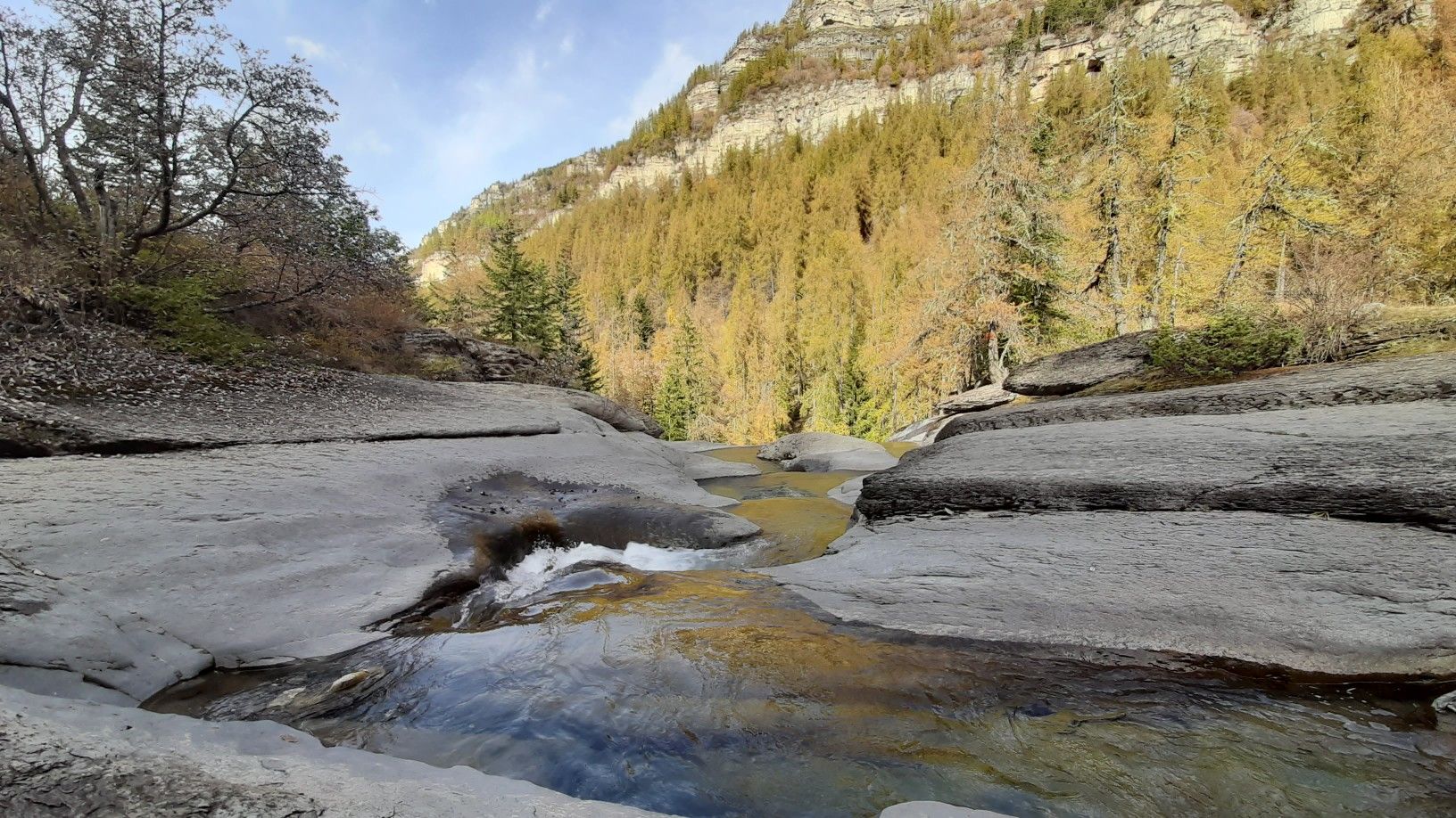 verdon