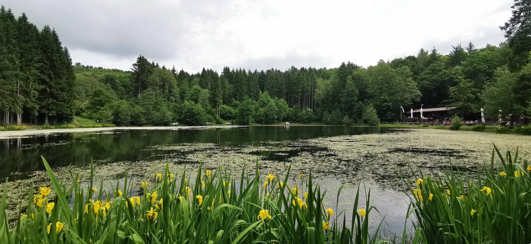 Rothsee