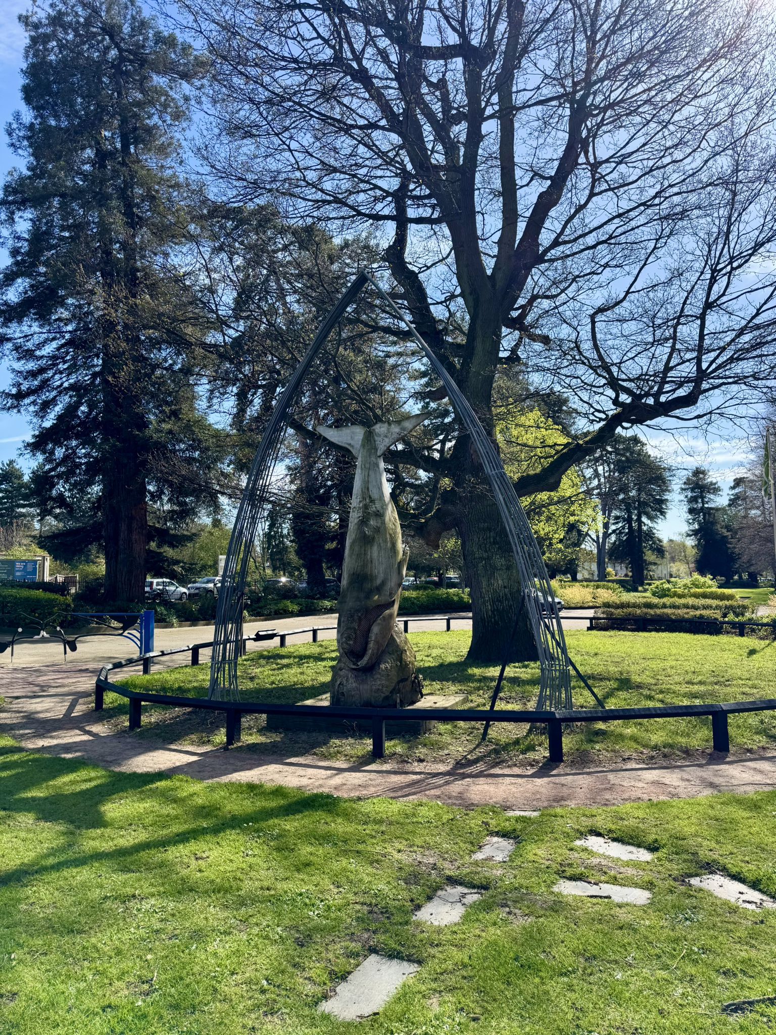 Sperm Whale - Workman Gardens