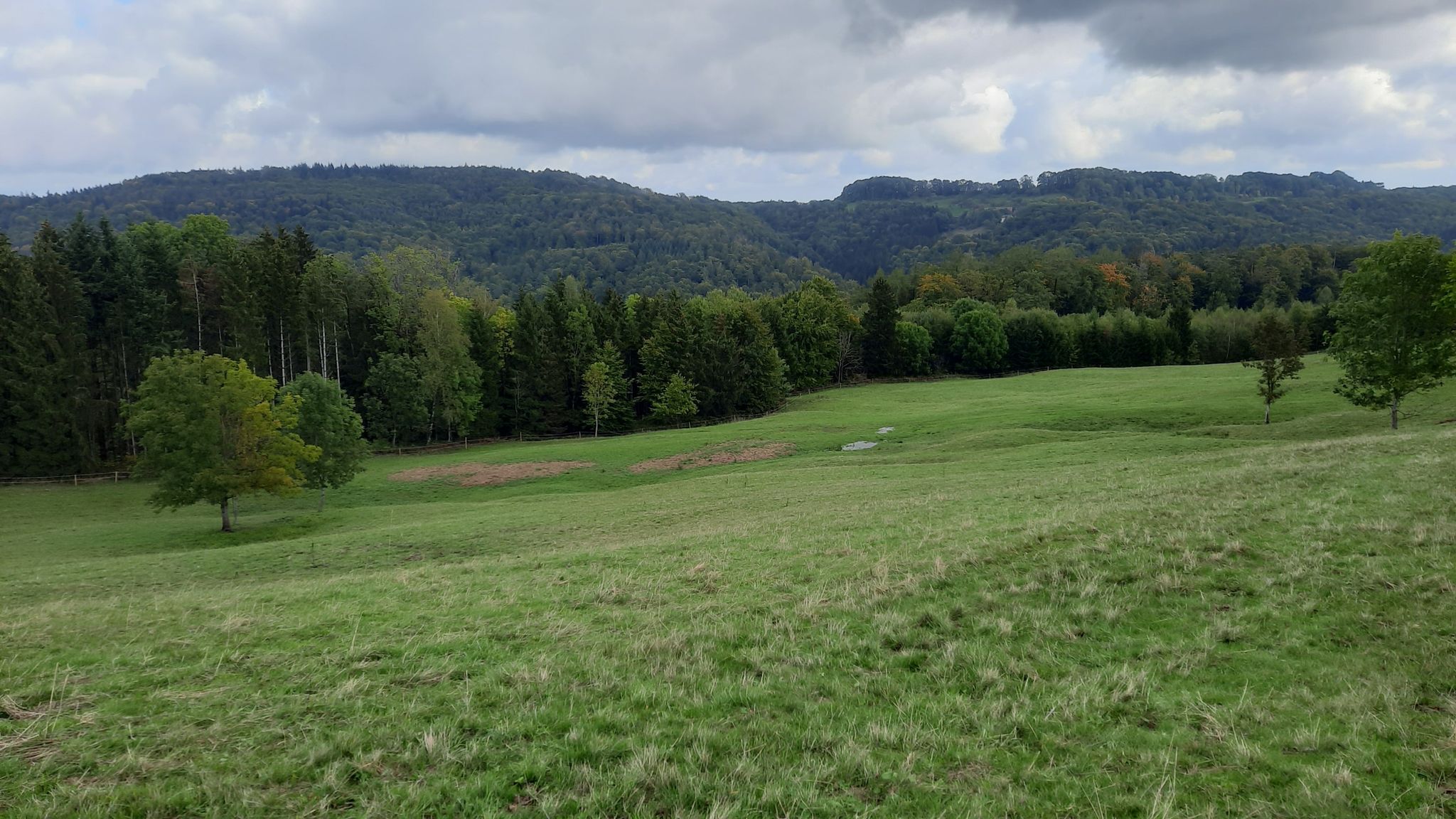 Bernhard-Drixler-Blick