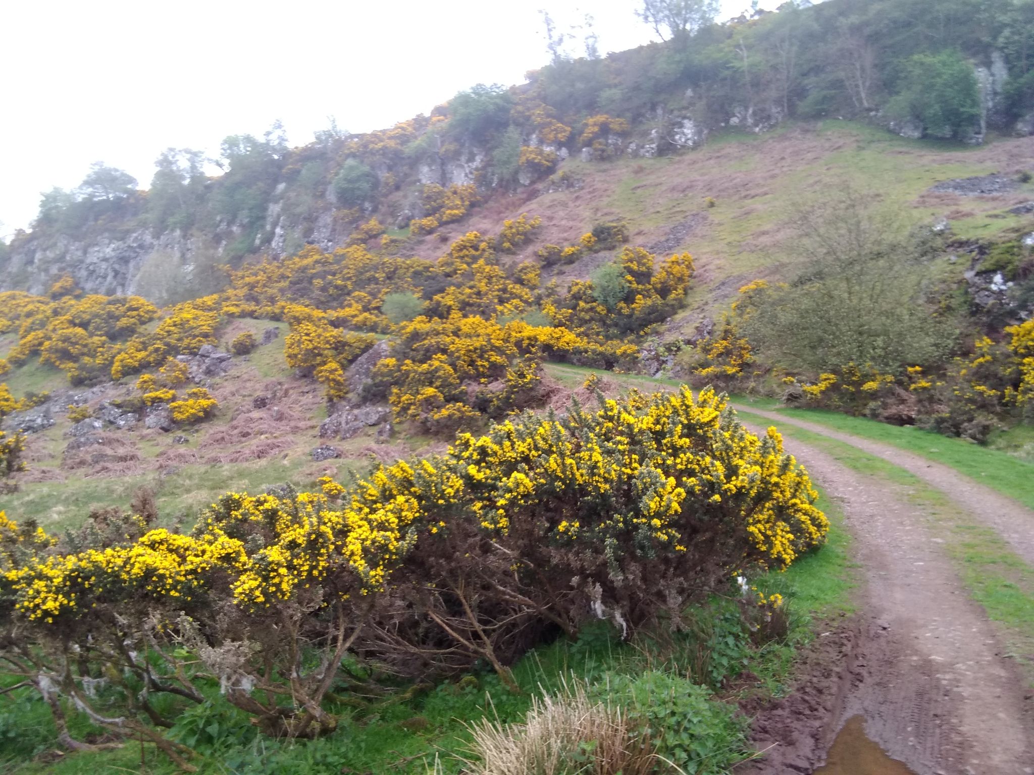 Start of zig zag ascent above Hilhead Farm.