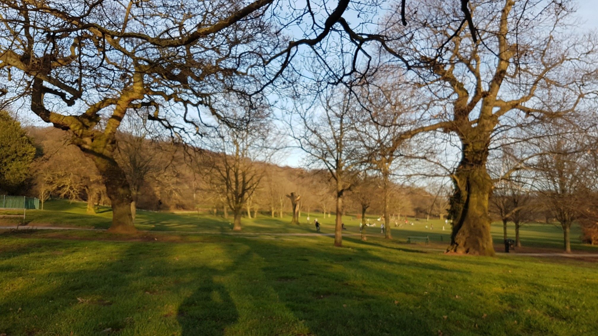 Bramcote Hills Park