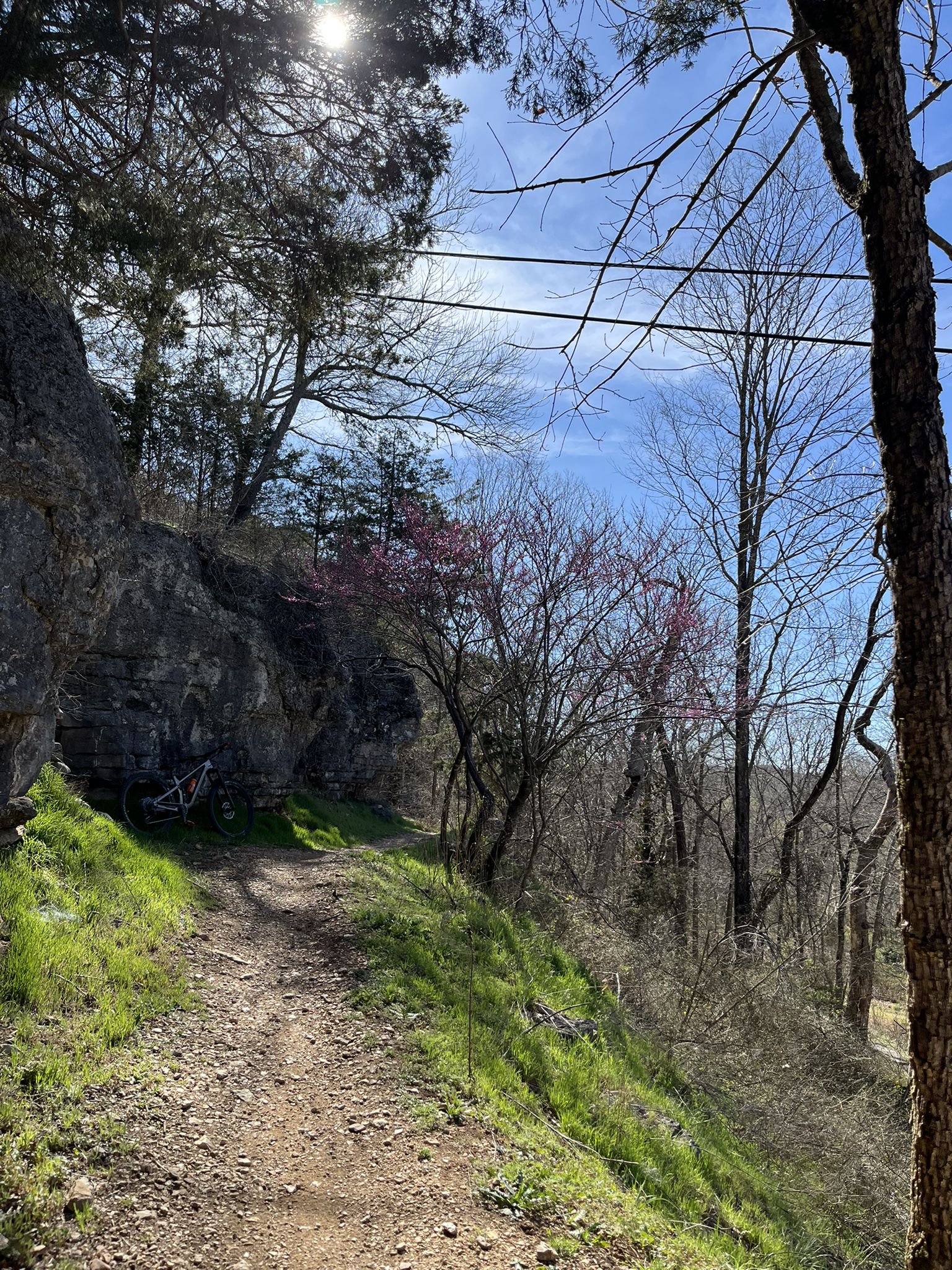 A sunny dirt path on a grassy slope next to a rock face and blooming trees. - Sally Trail