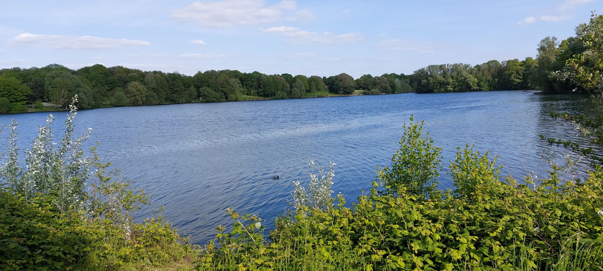Uettelsheimersee