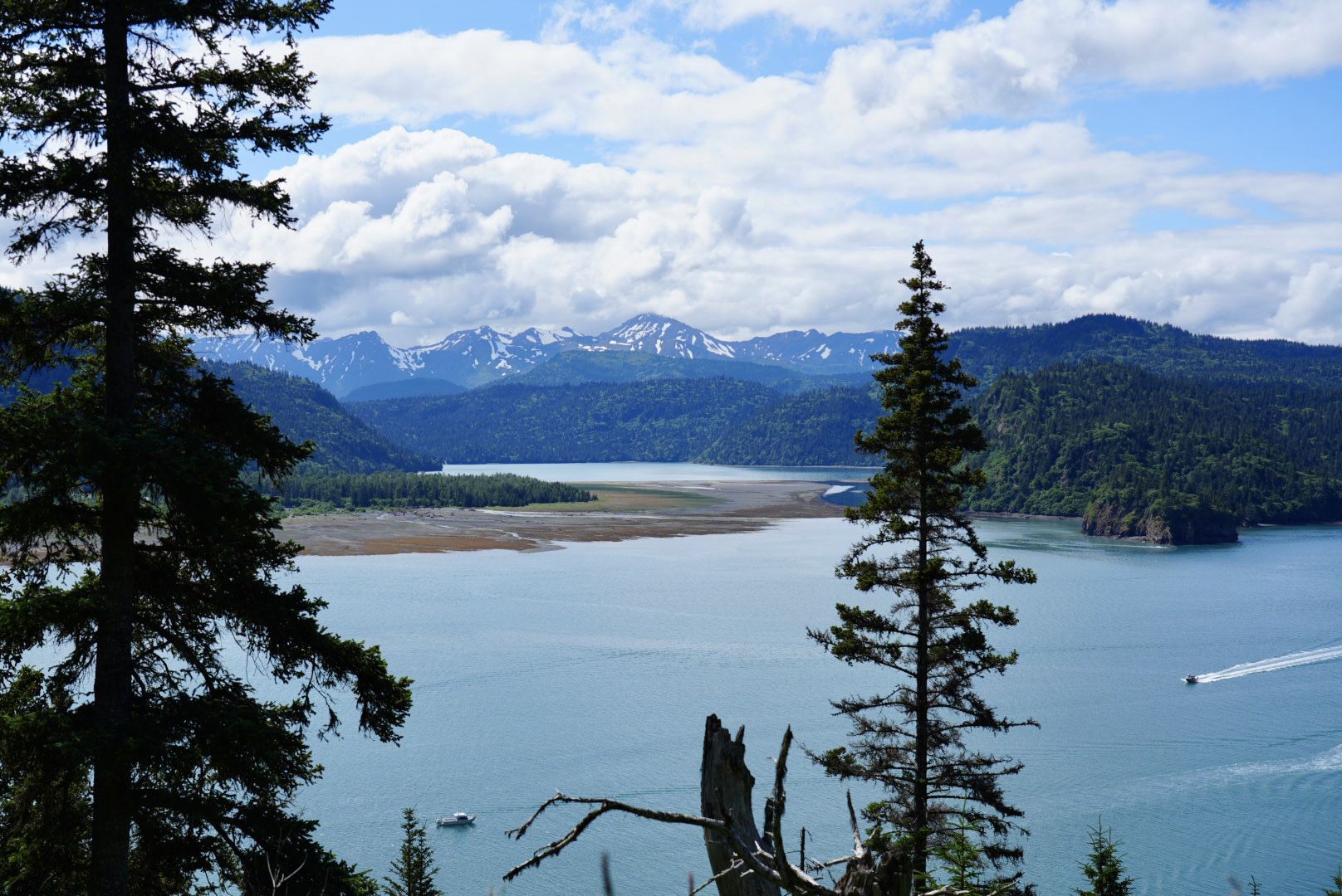 Panoramic view of a large body of water, forested mountains, and distant peaks. - Grewingk Lake and Saddle Trail Traverse