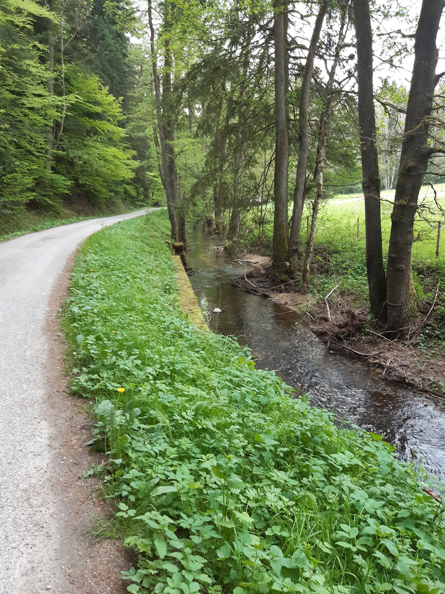 Stadelbach 