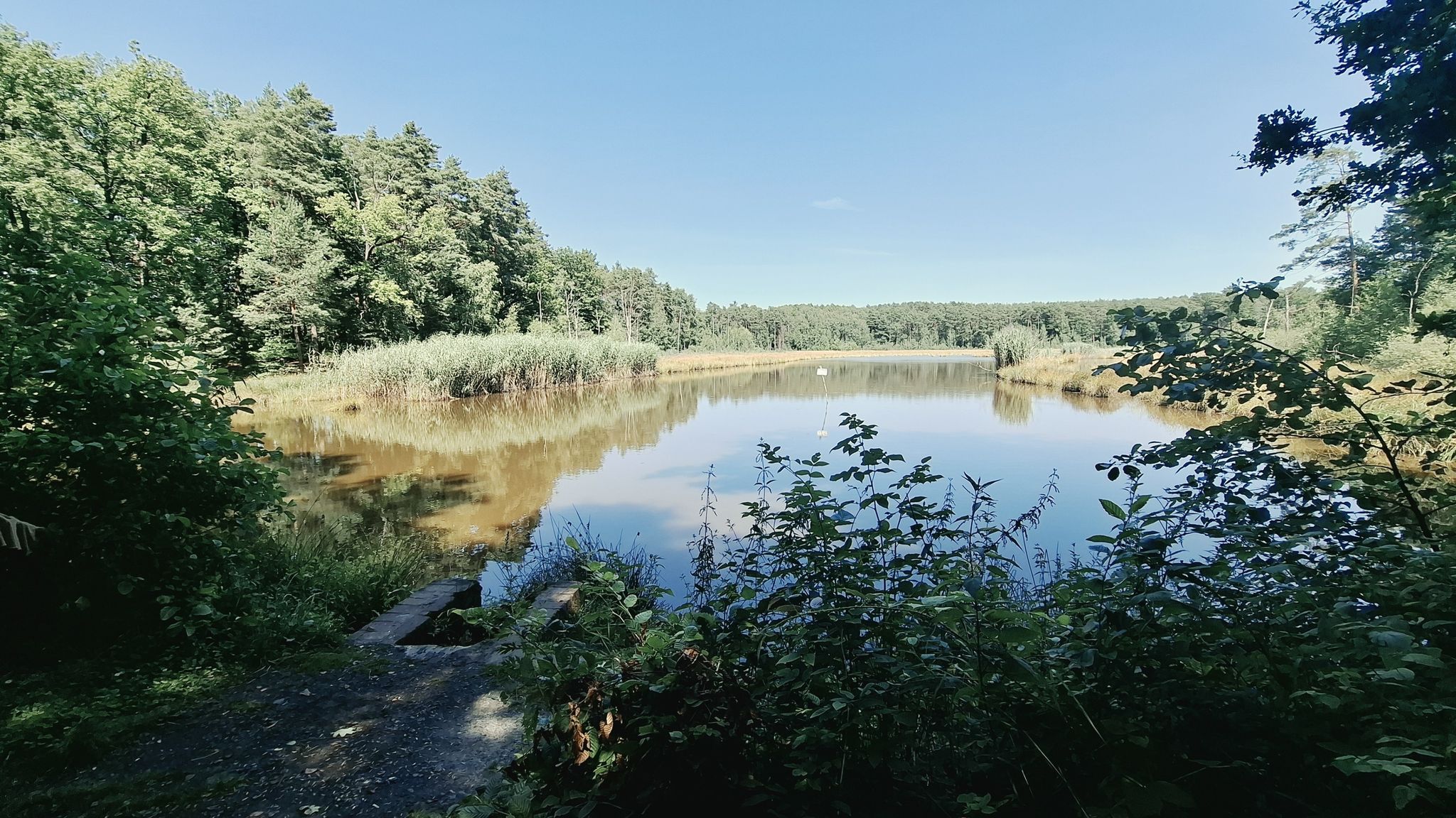 Torowisko Przylaski