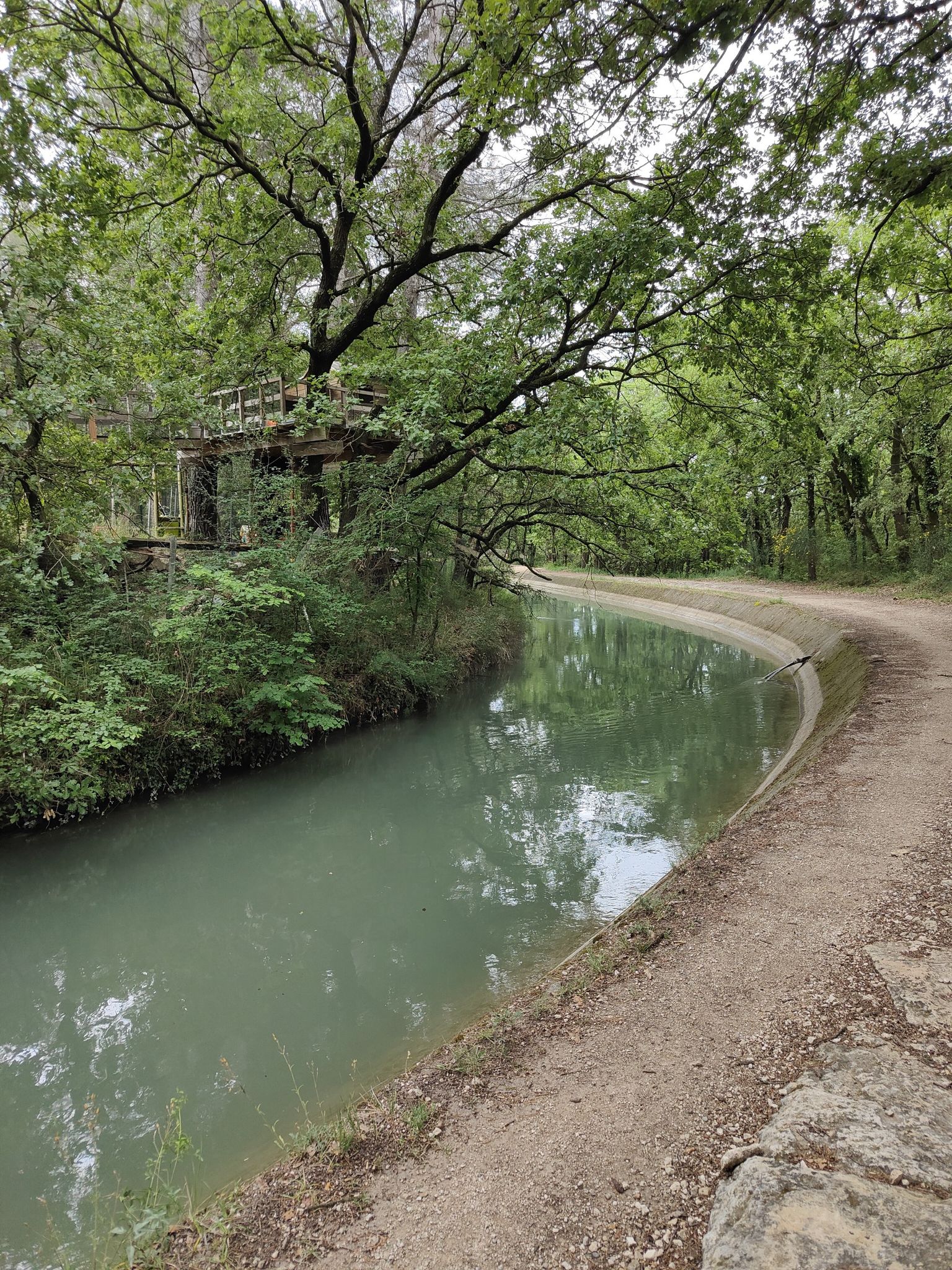 Kinderparadies im Baum und am Fluss
