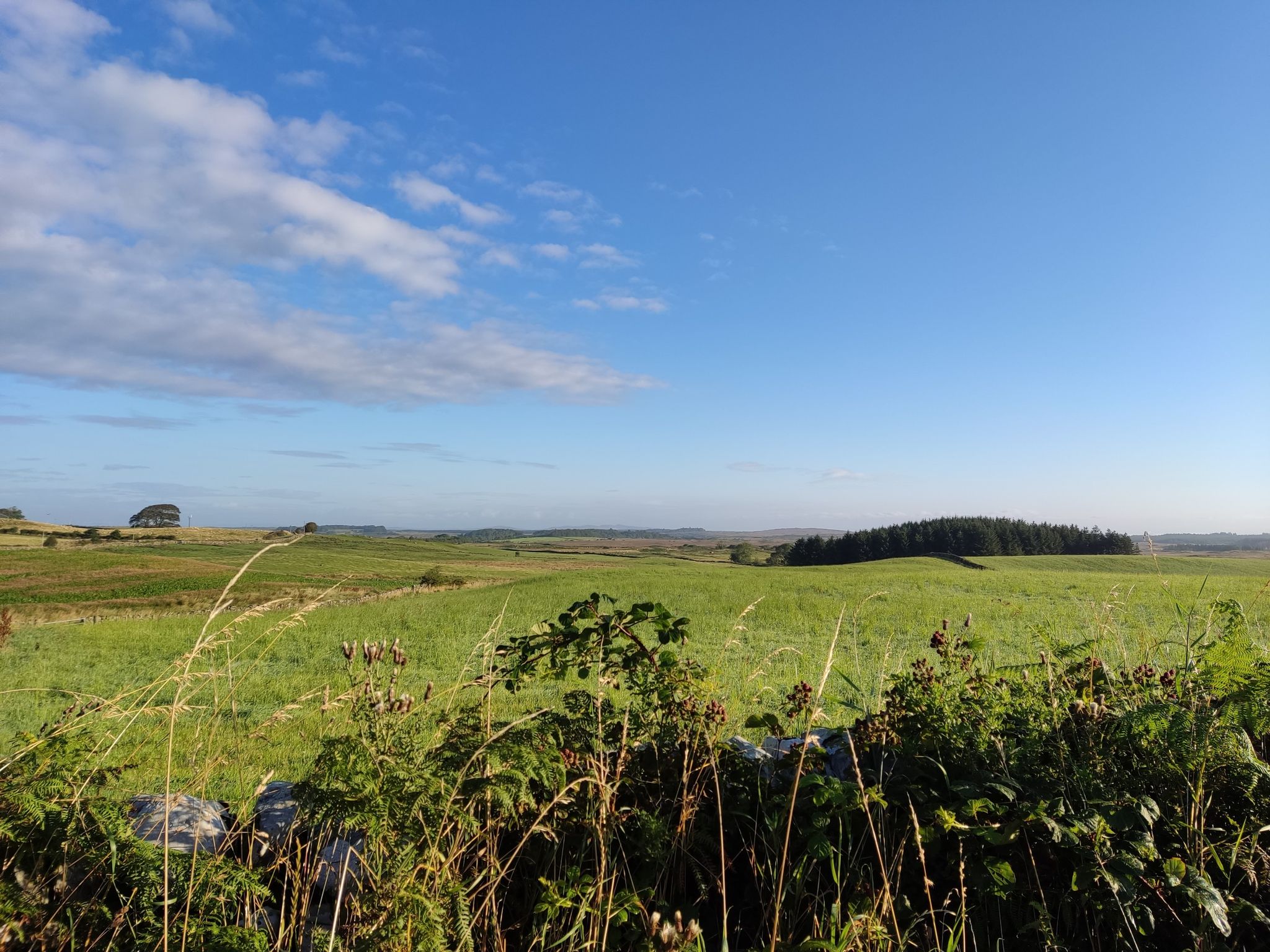 The Machars in morning sunlight