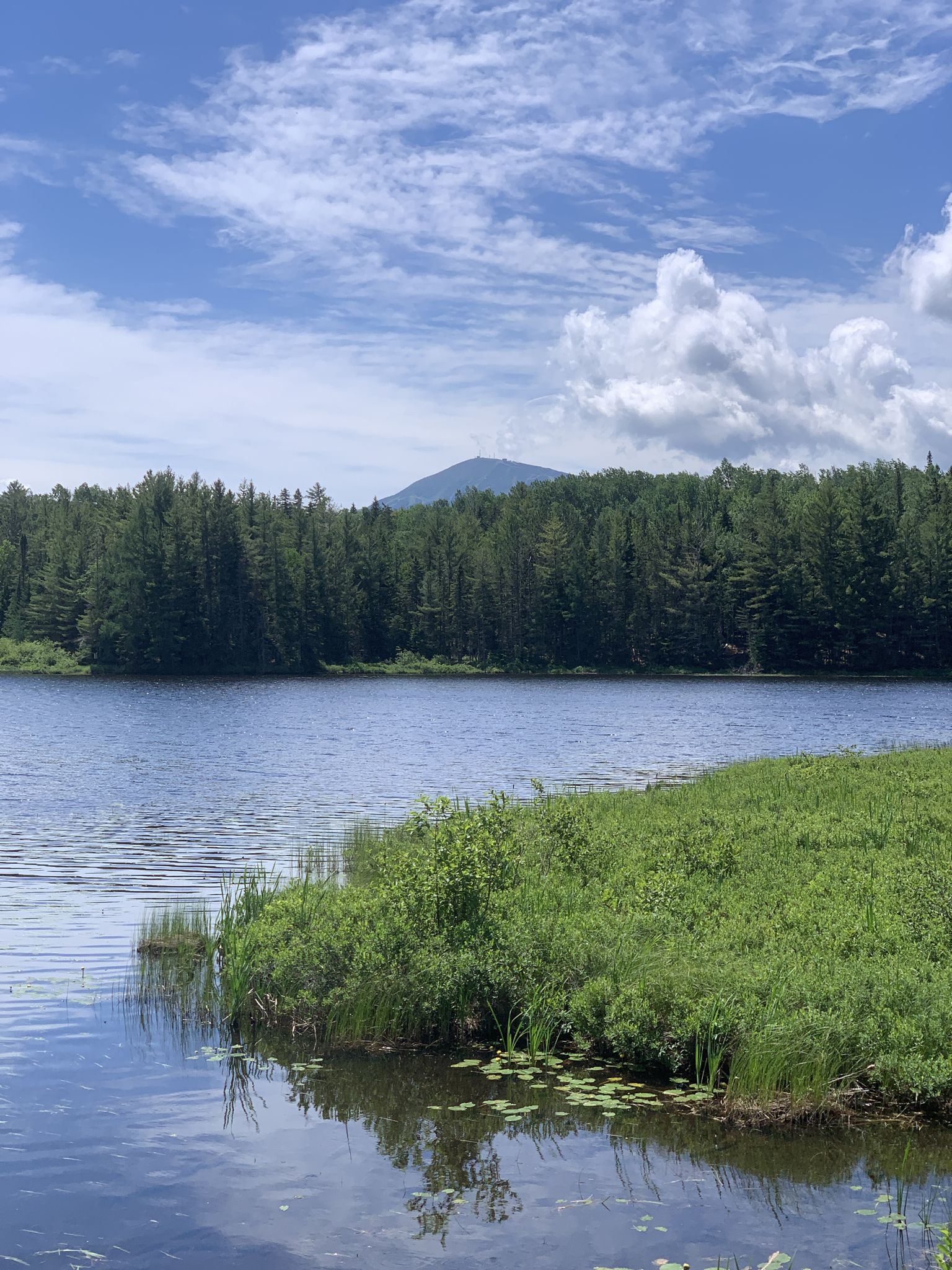 Calm lake with green banks, dense forest, and distant mountain under blue sky. - Stratton Brook Pond – Mount Bigelow loop from Wyman Township Public Reserved Land