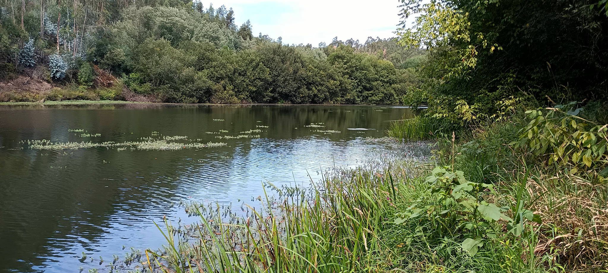 Rio Águeda