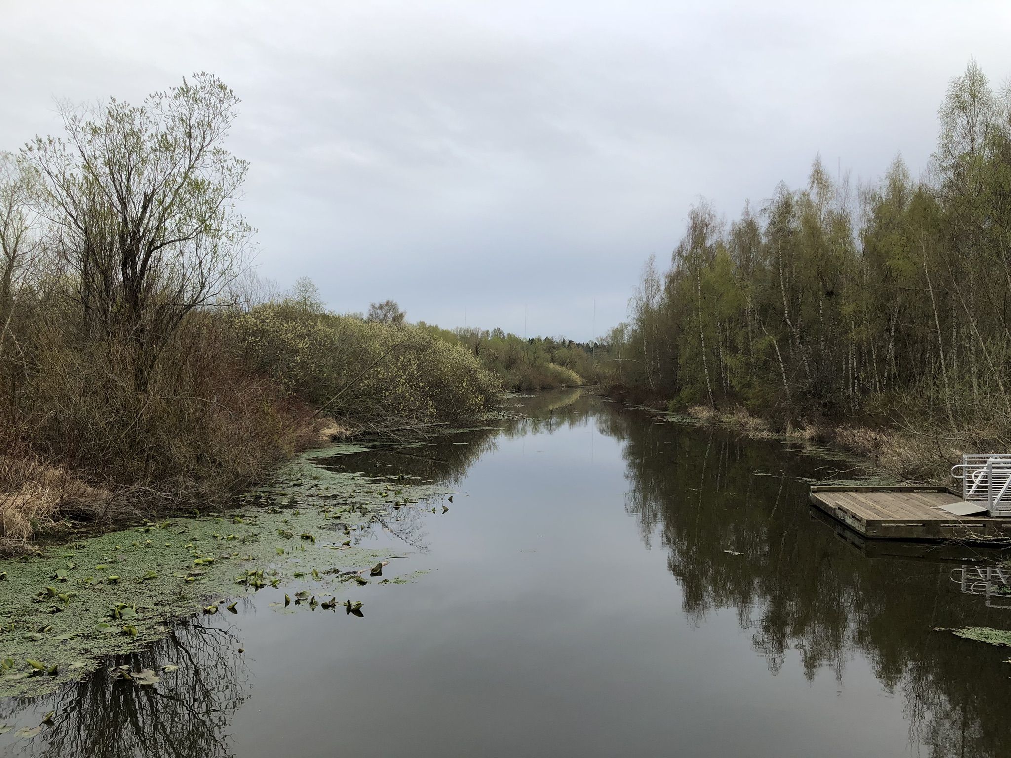 Overcast view of a calm river with marshy banks and a small dock. - Lake to Lake Trail