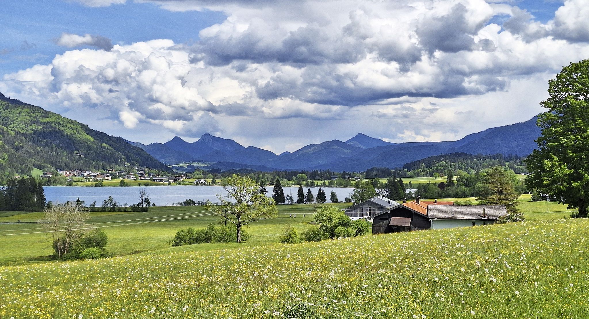 Walchsee