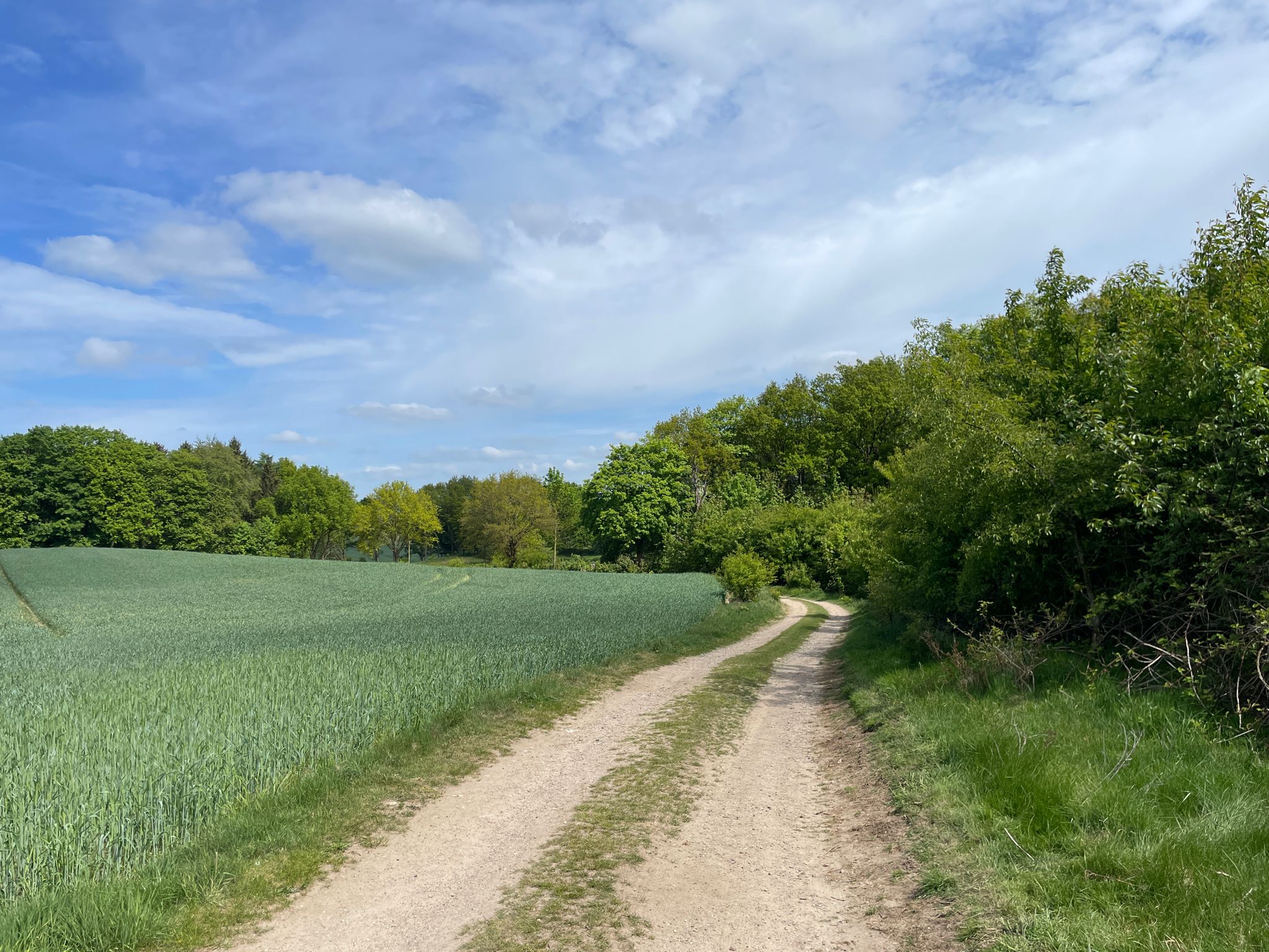 Feldweg bei Schwissel