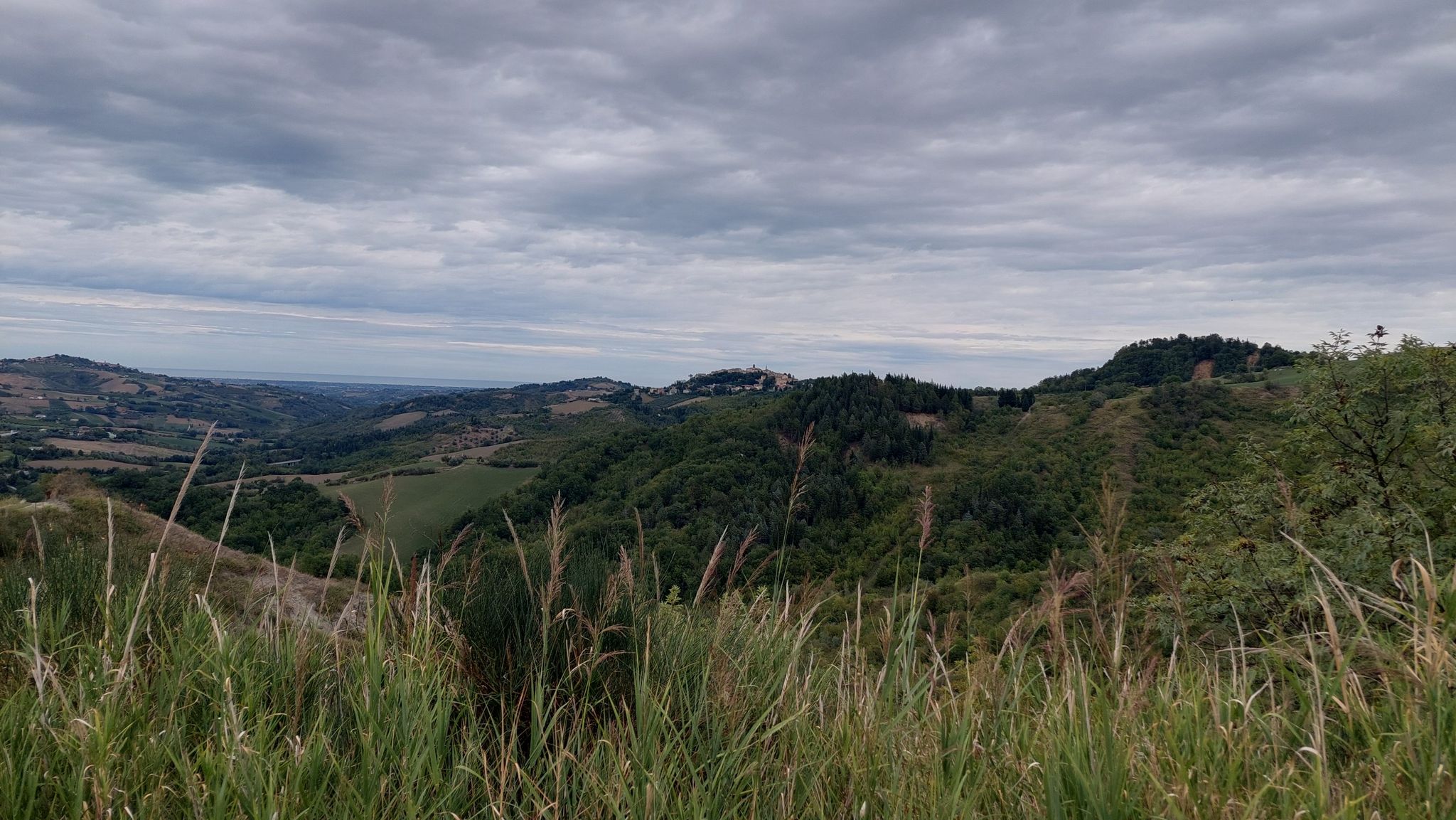 Sogliano al Rubicone