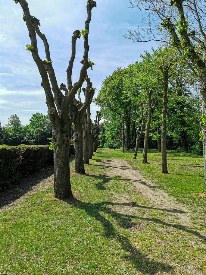 Schloßgarten Halbturn