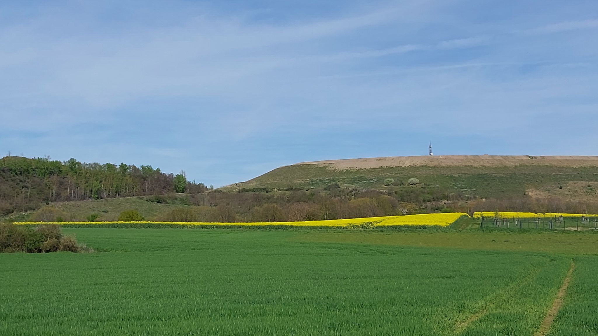 Blick zur Ratheimer Halde ⚒️