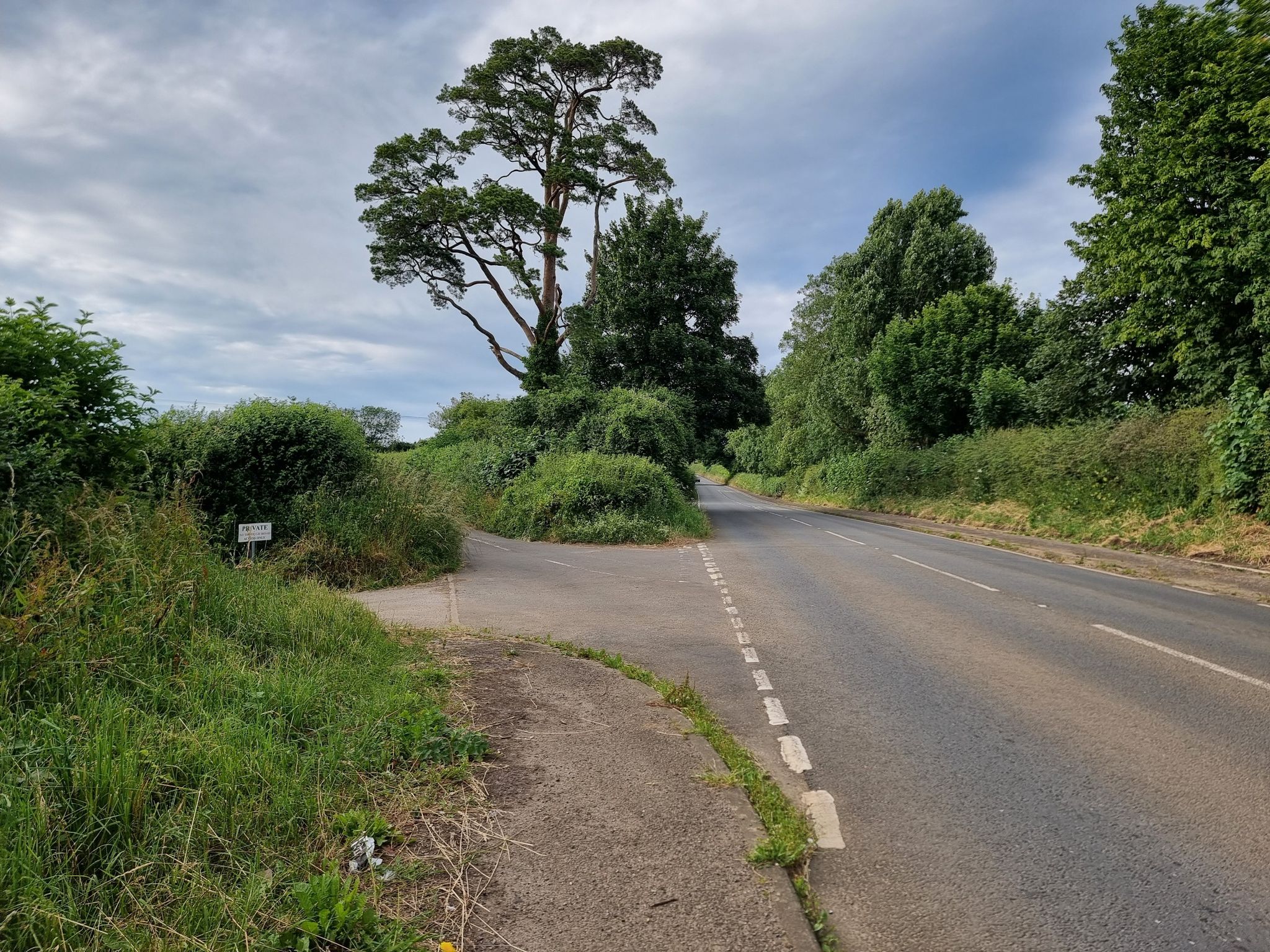 redhole lane