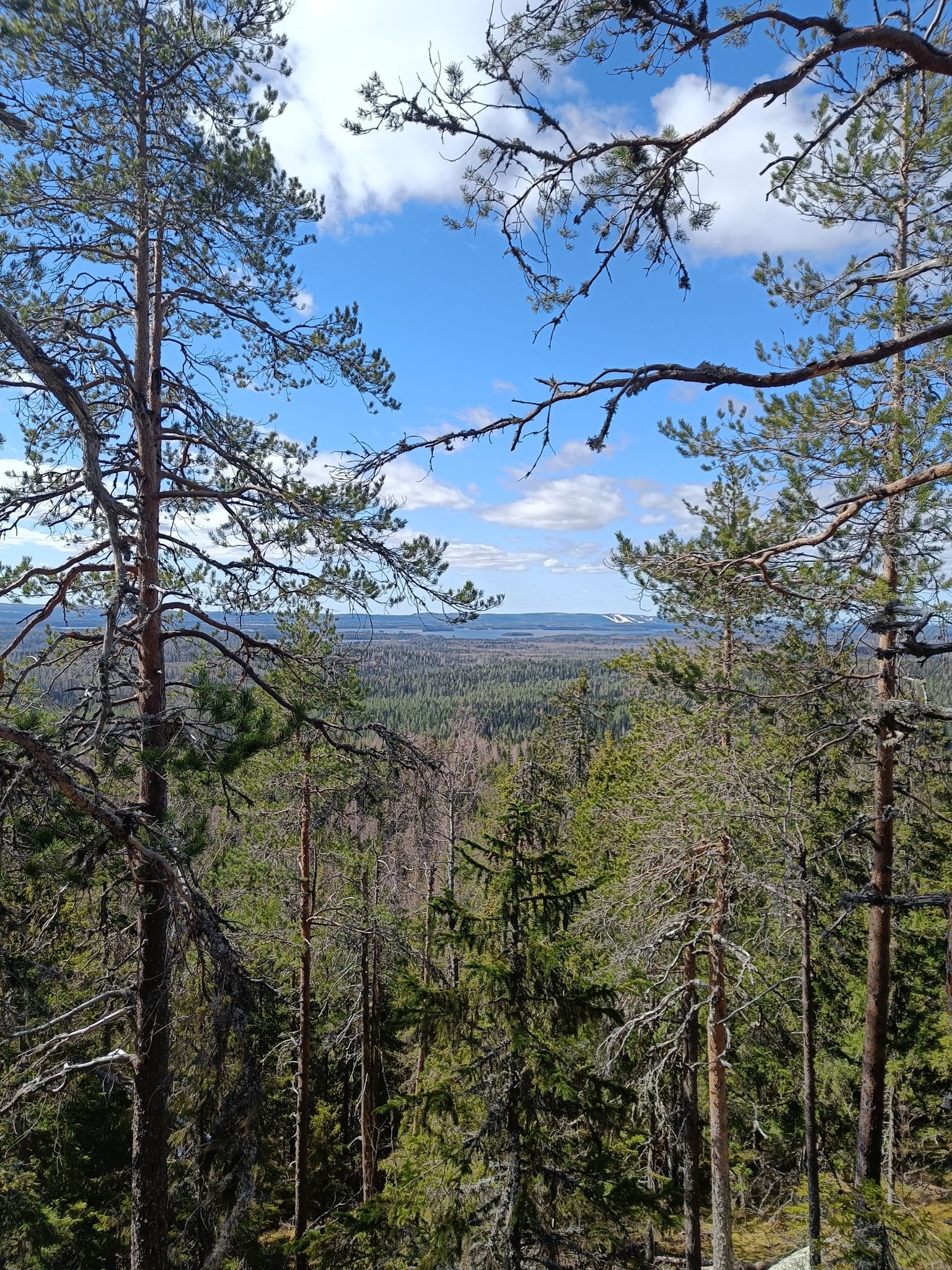 Vieläkin korkeammalla