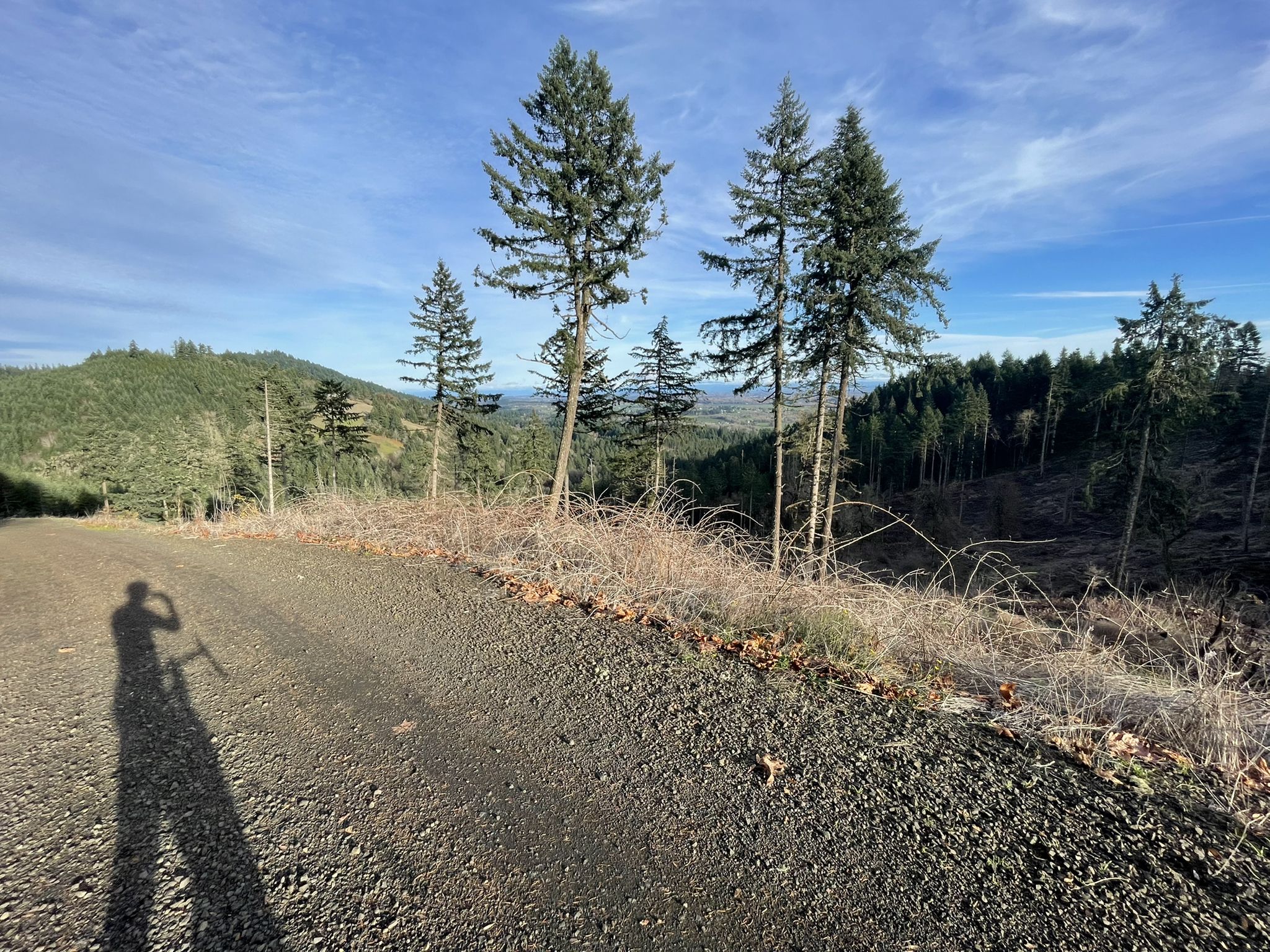 Sunny dirt road with a person's shadow, tall trees, and distant hills. - Middle Dan's Trail – Lewisburg Saddle loop from Timberhill Natural Area