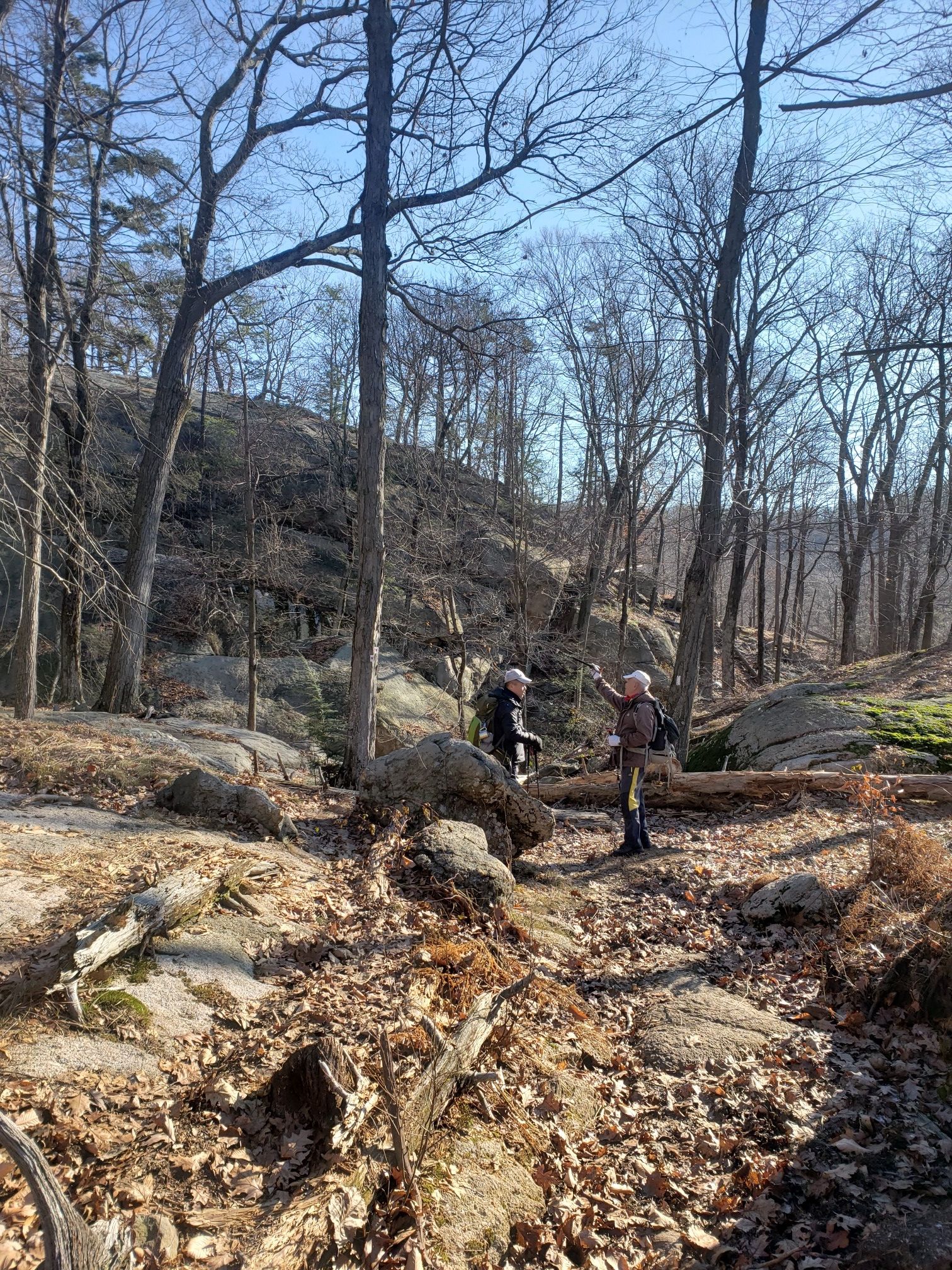 Two hikers on a rocky, leaf-covered trail in a sunny, bare forest. - Island Pond Mountain Trail