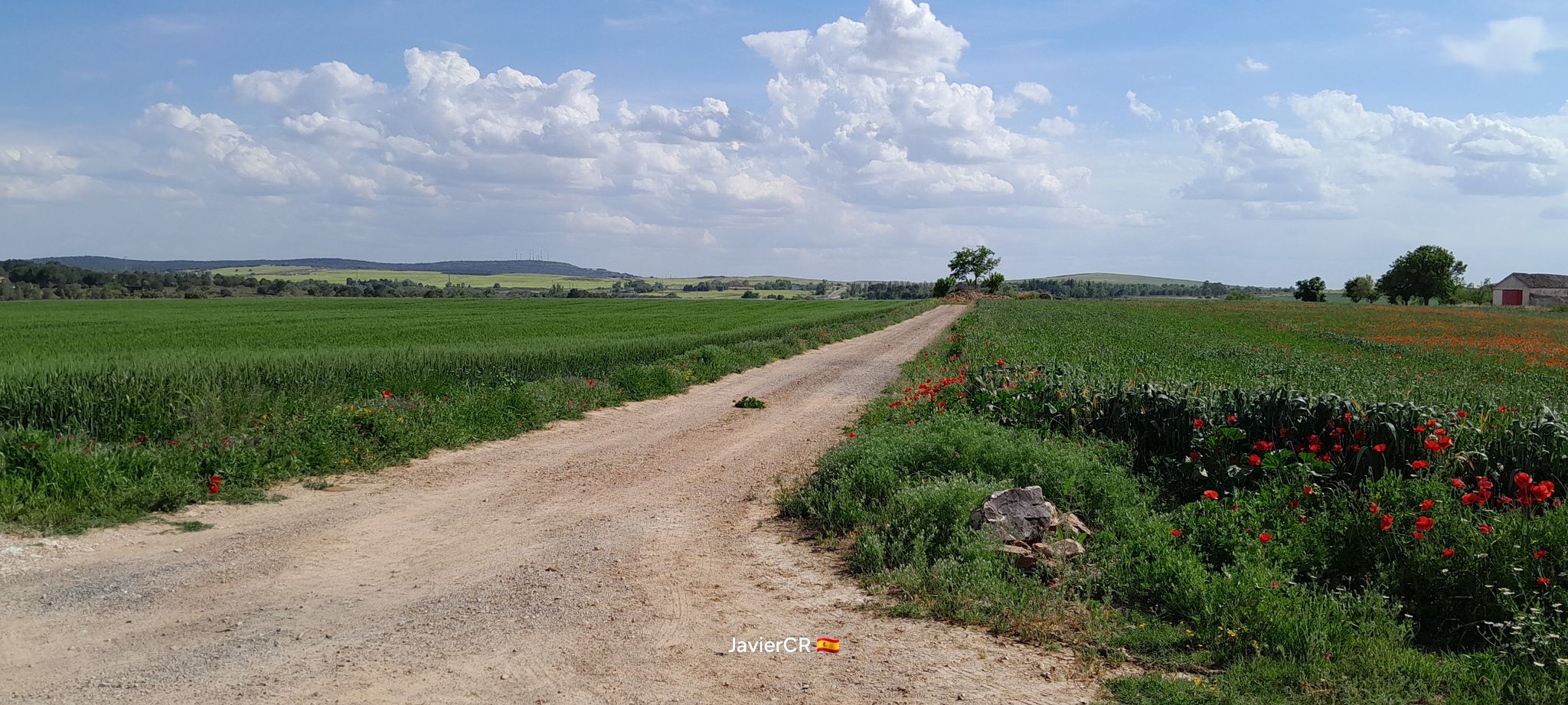 Vistas del Vicario/Finca