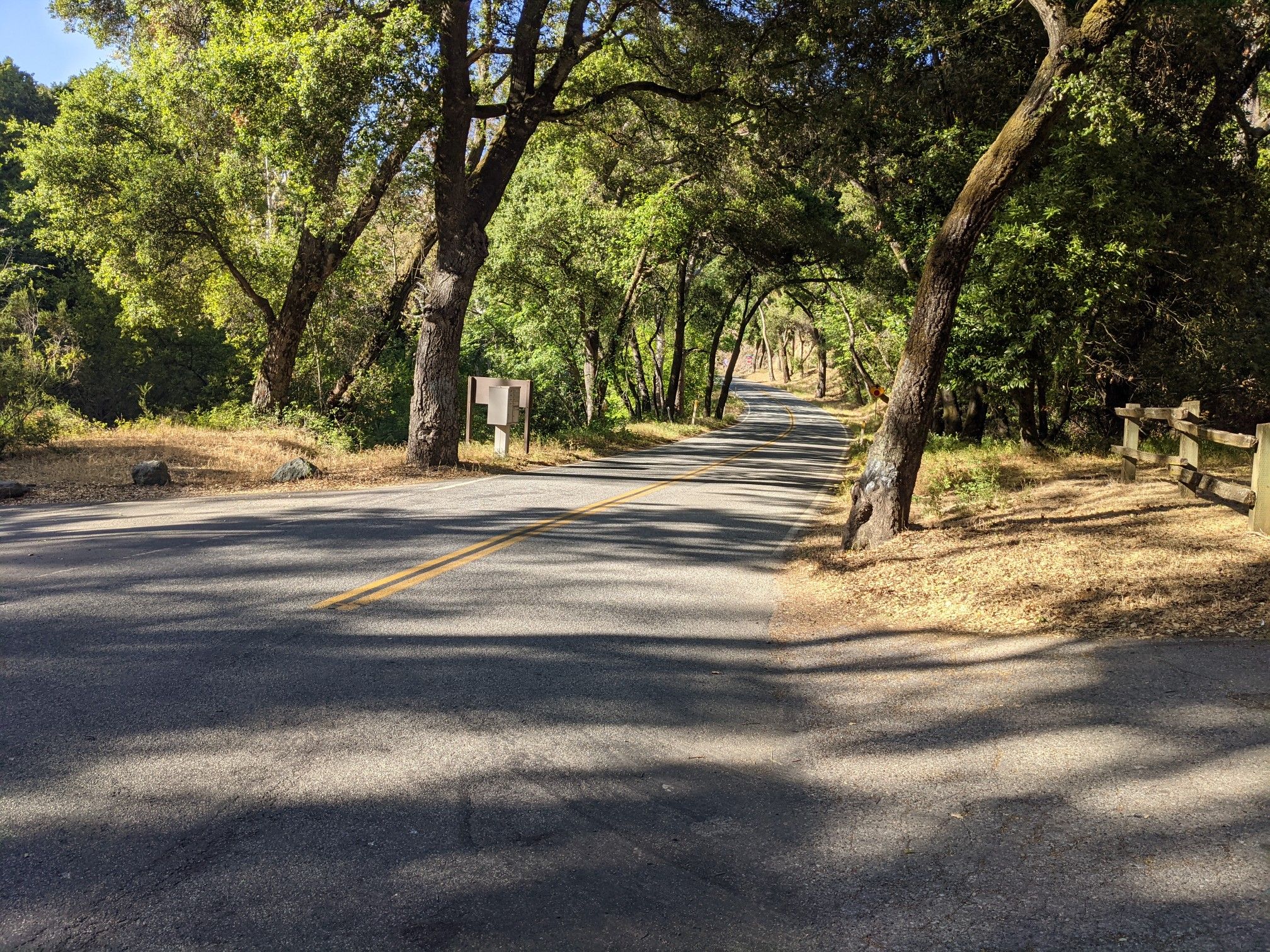 Shady paved road winds through a tunnel of green trees on a sunny day. - Mount Eden Trail and Canyon Trail