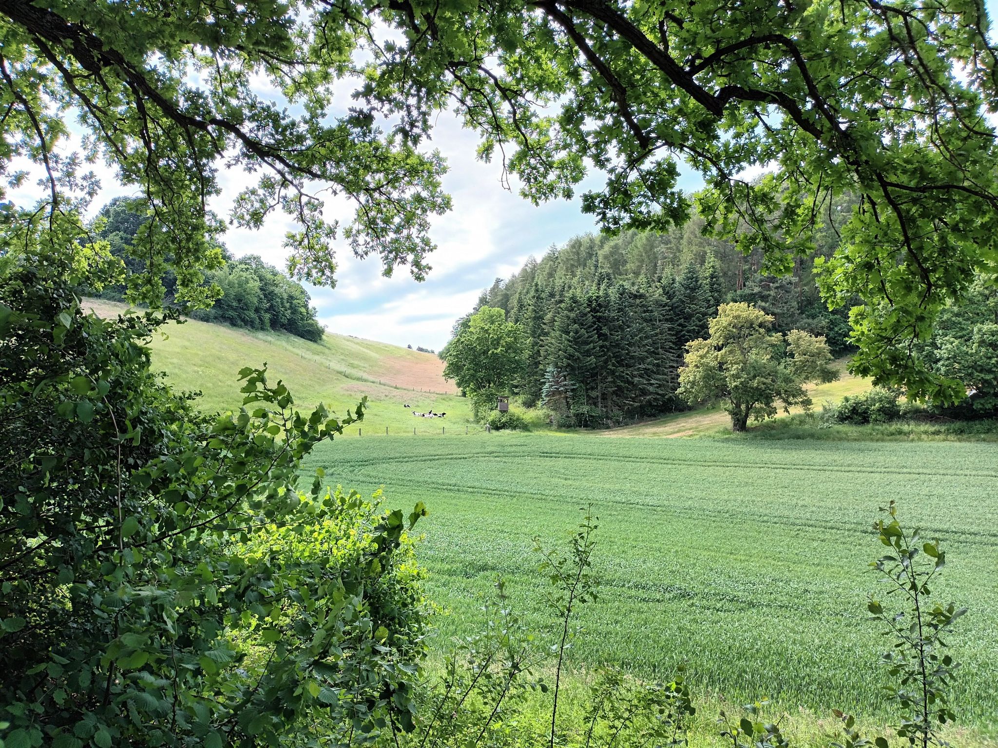 Landidylle