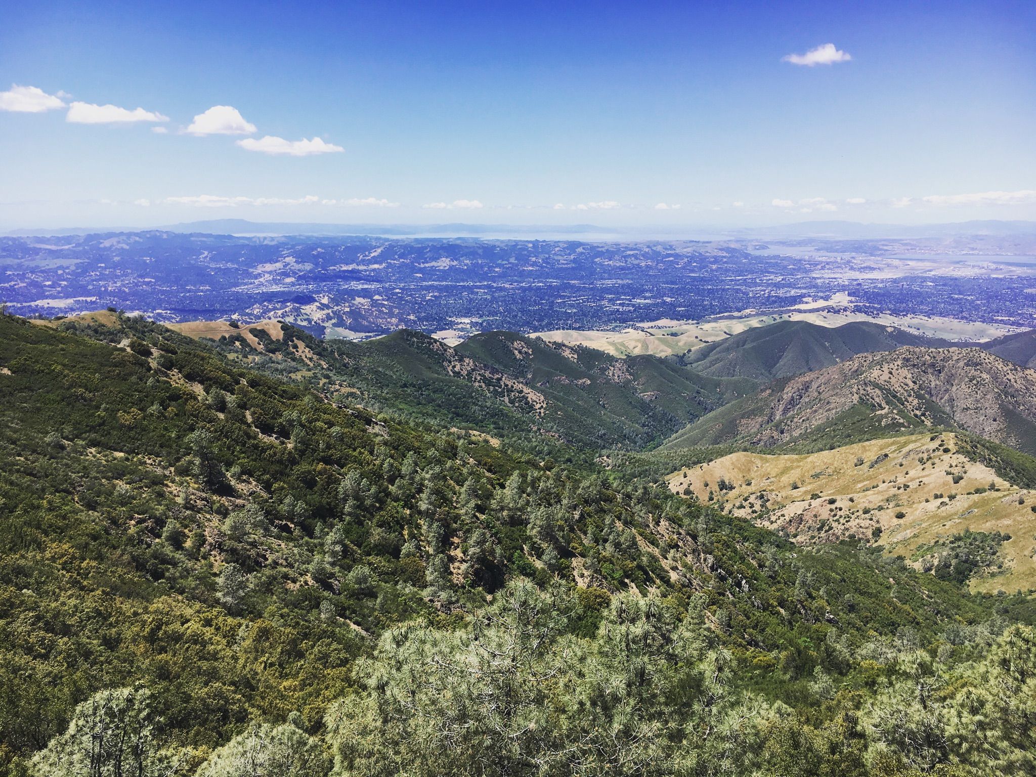 Panoramic view from a mountain, showing green peaks and a distant valley. - Mitchell Canyon Visitor Center – Mitchell Canyon Road Trail loop from Lot 25