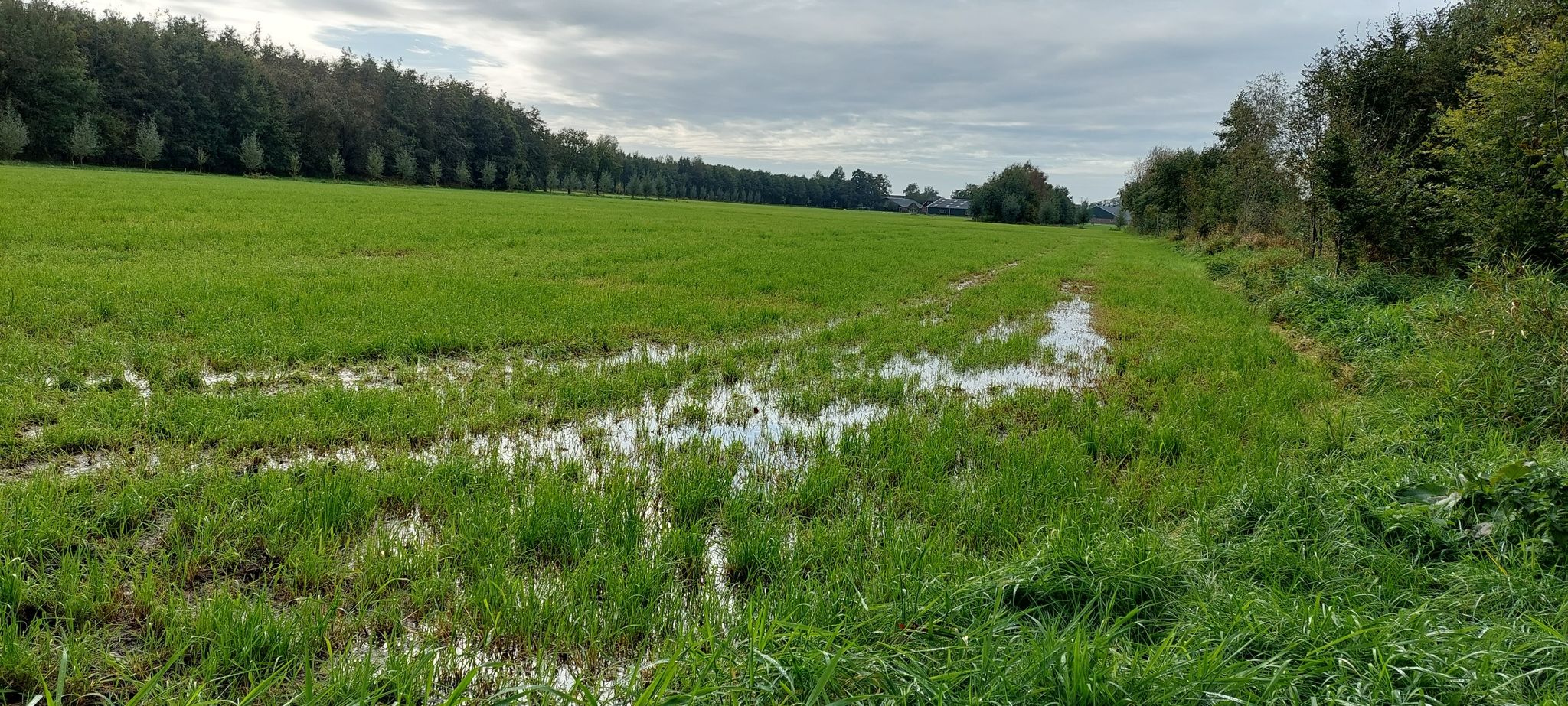 Veel regen gevallen afgelopen nacht kennelijk.