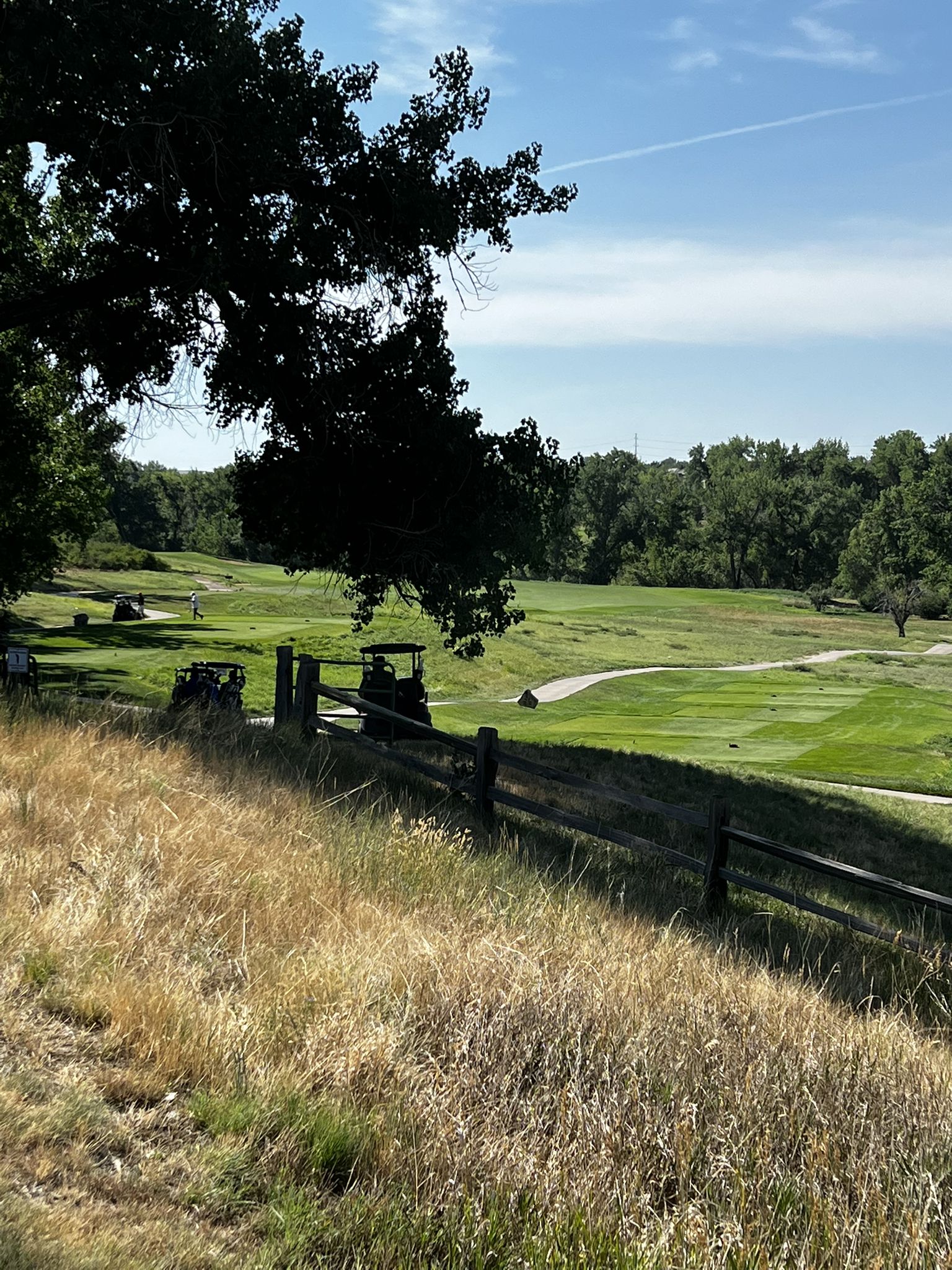 A golf course with green fairways, trees, and golf carts under a bright sky. - High Line Canal Trail: Segment 5 - Journey to Fly'n B Park