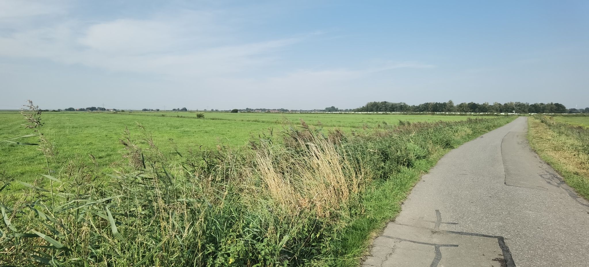Mitten in der Natur